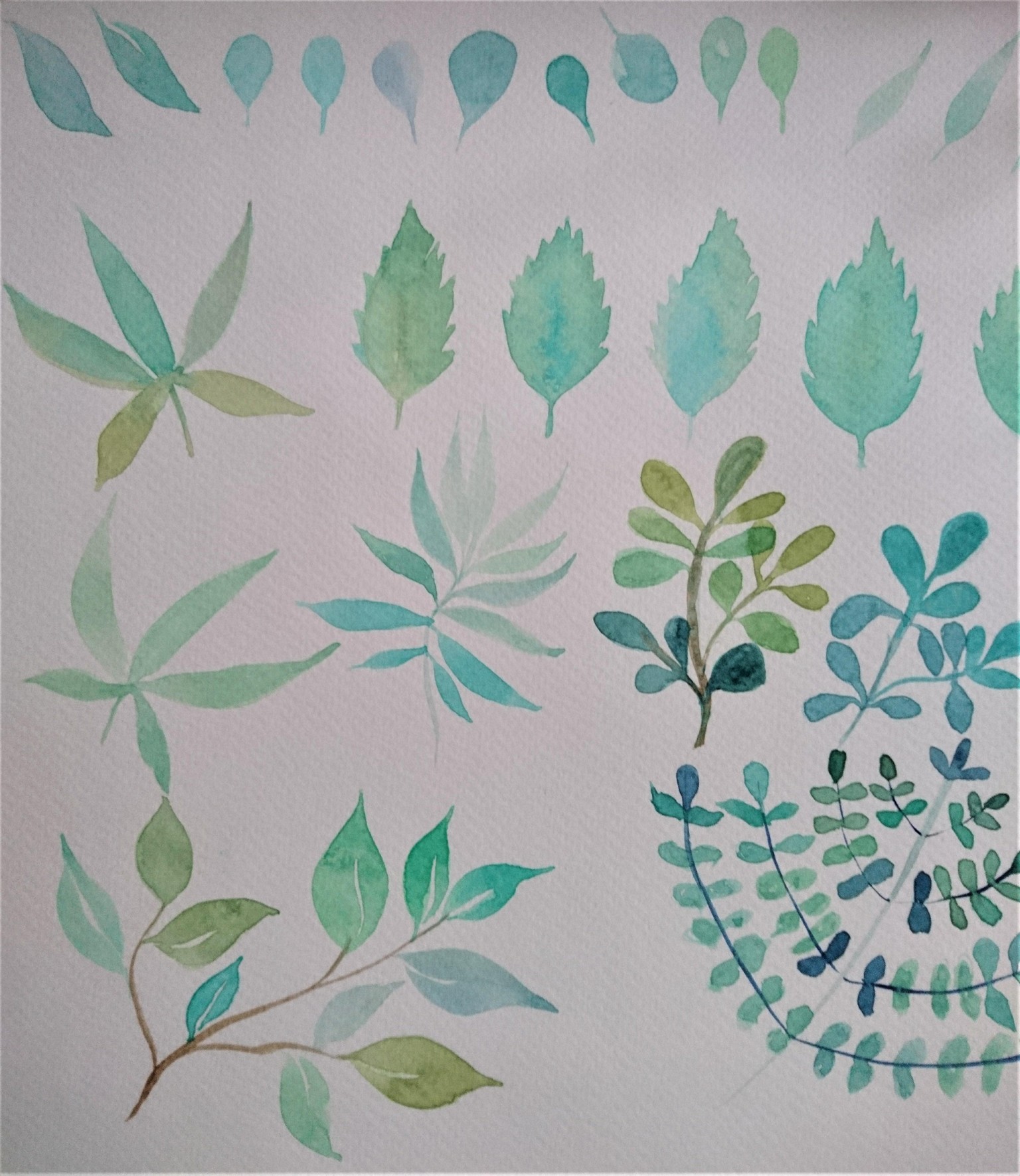Verdes y Hojas - image 2 - student project