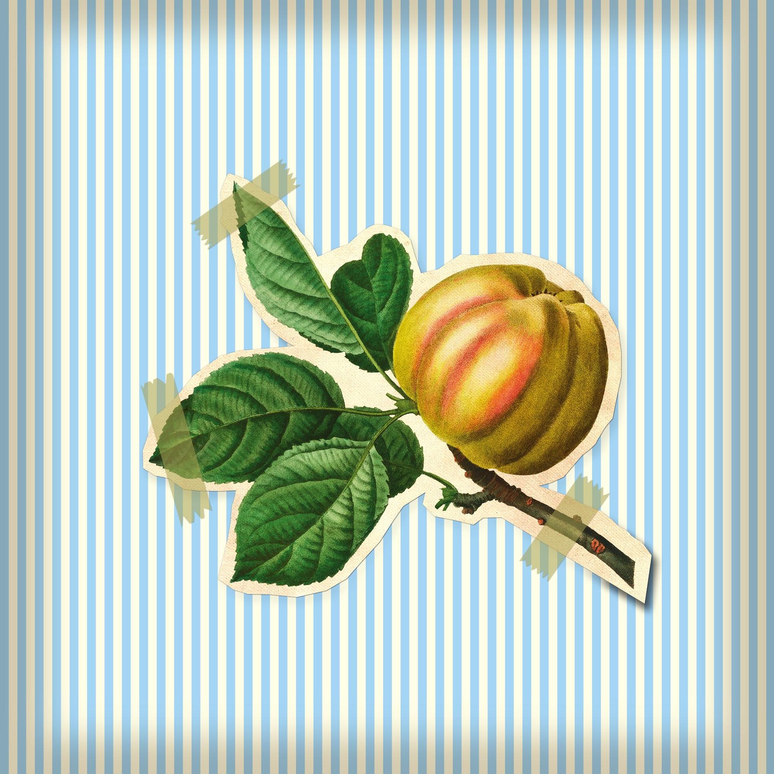 Class Project - image 1 - student project