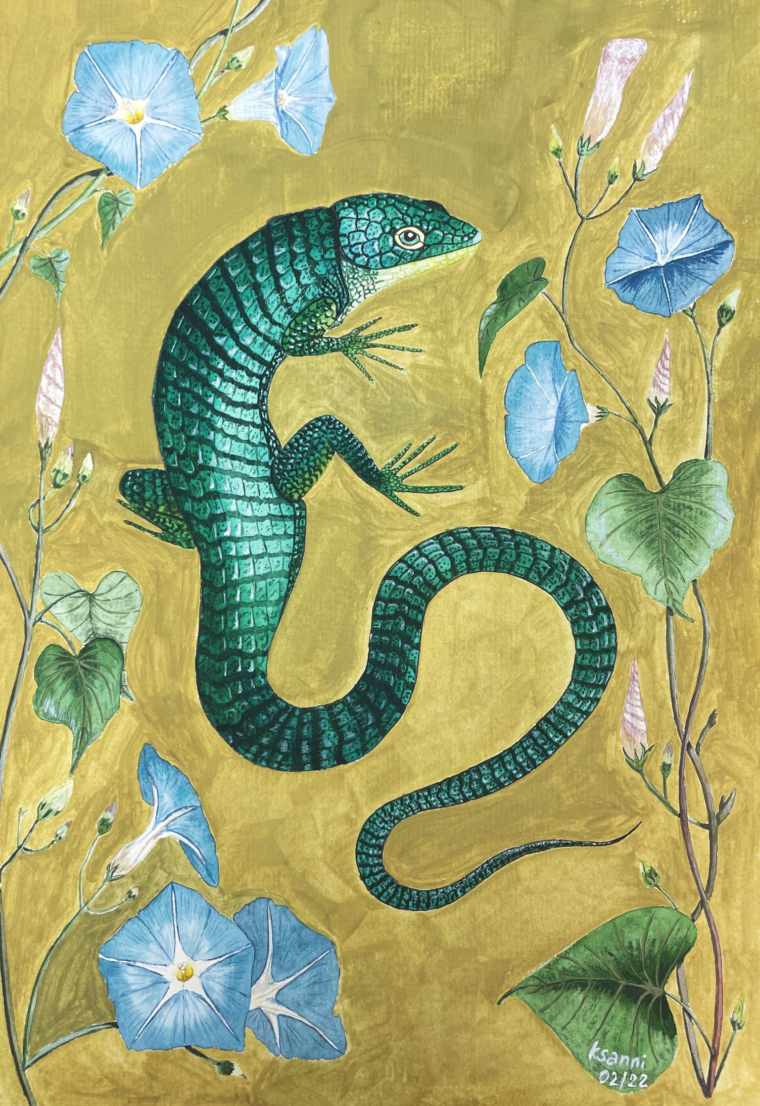 Mexican alligator lizard - image 3 - student project