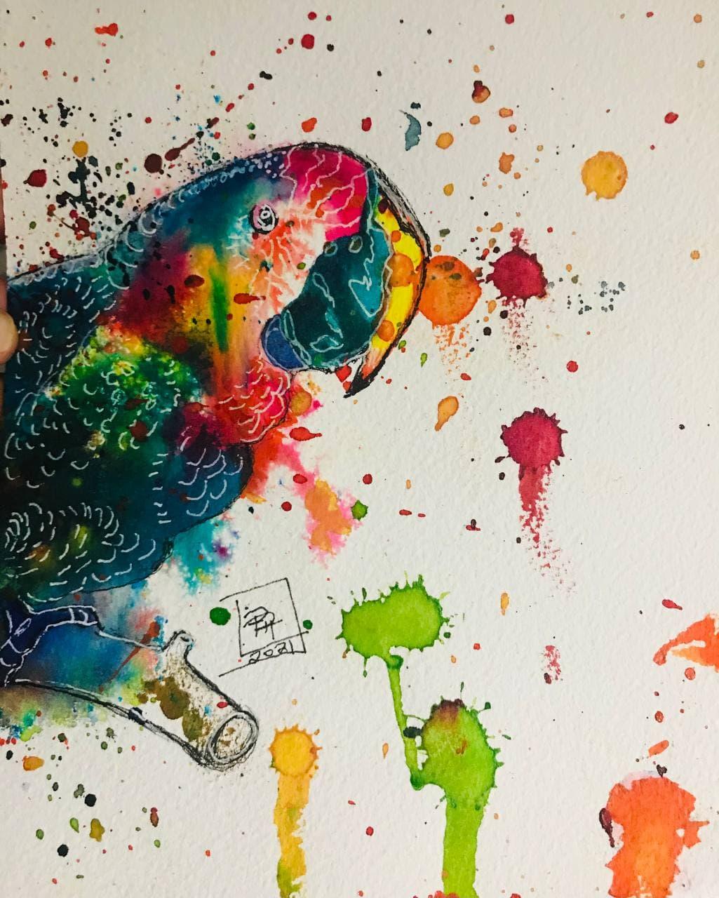 colourful parrot - image 1 - student project