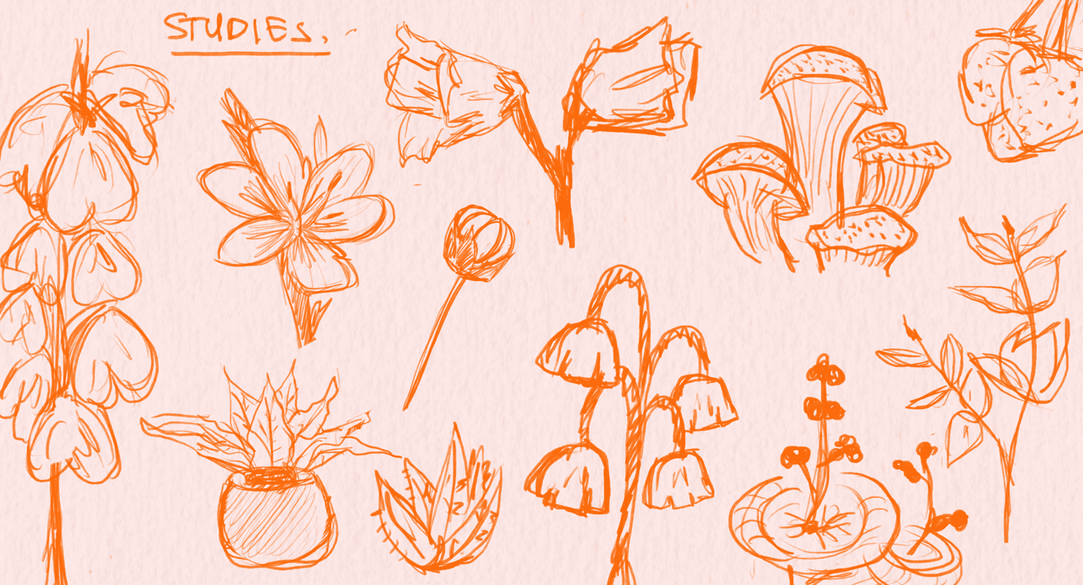 Plant Exercise - image 2 - student project