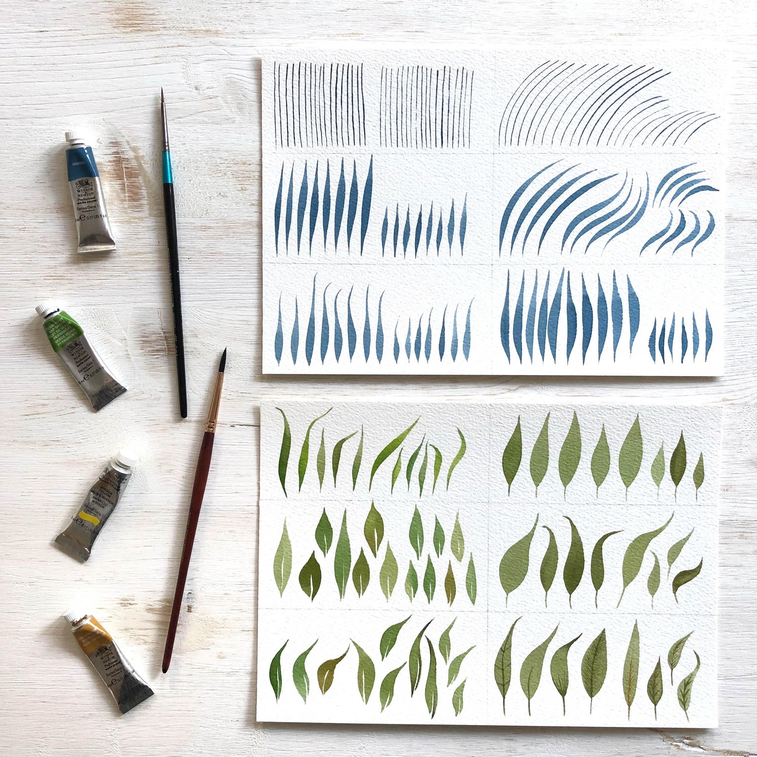 Watercolour Greenery: Basic Leaves & Branches - image 1 - student project