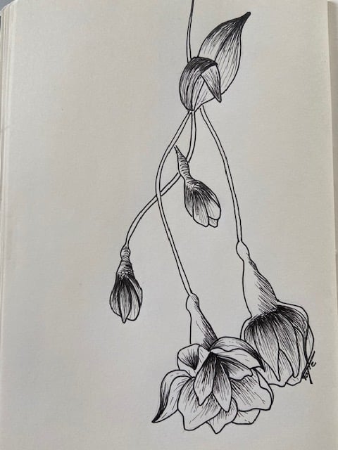 fleur a l encre - image 1 - student project