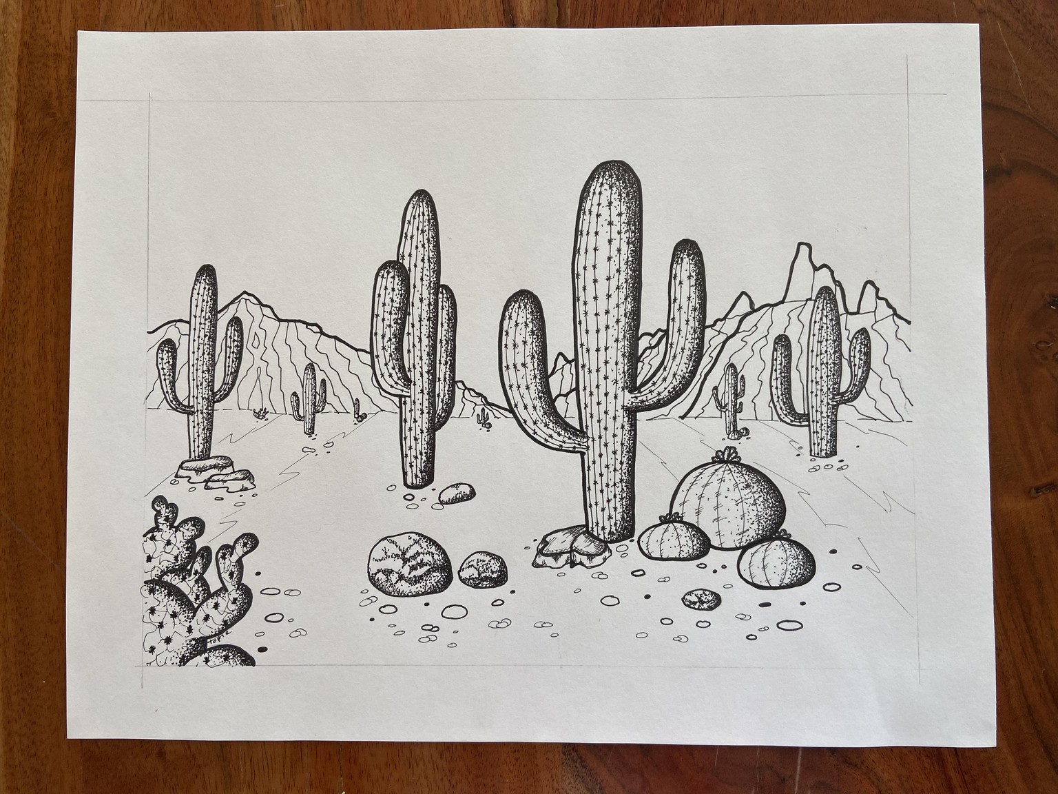 cactus - image 4 - student project