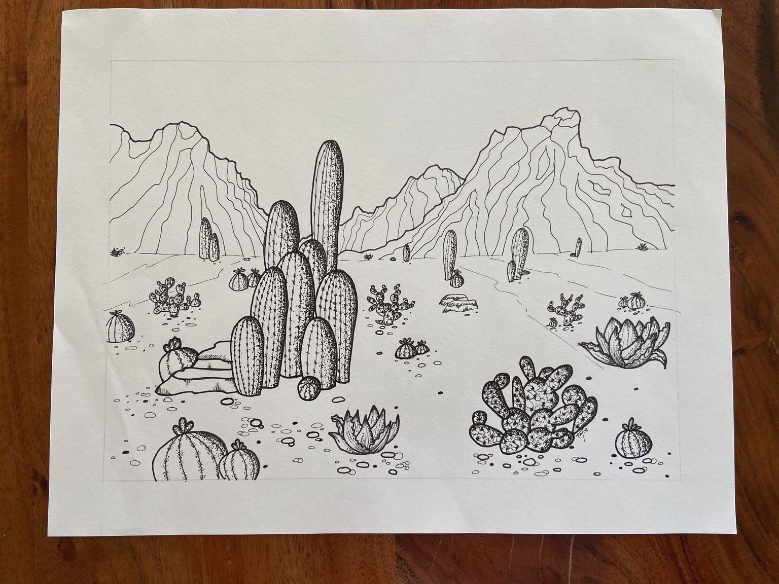 cactus - image 3 - student project