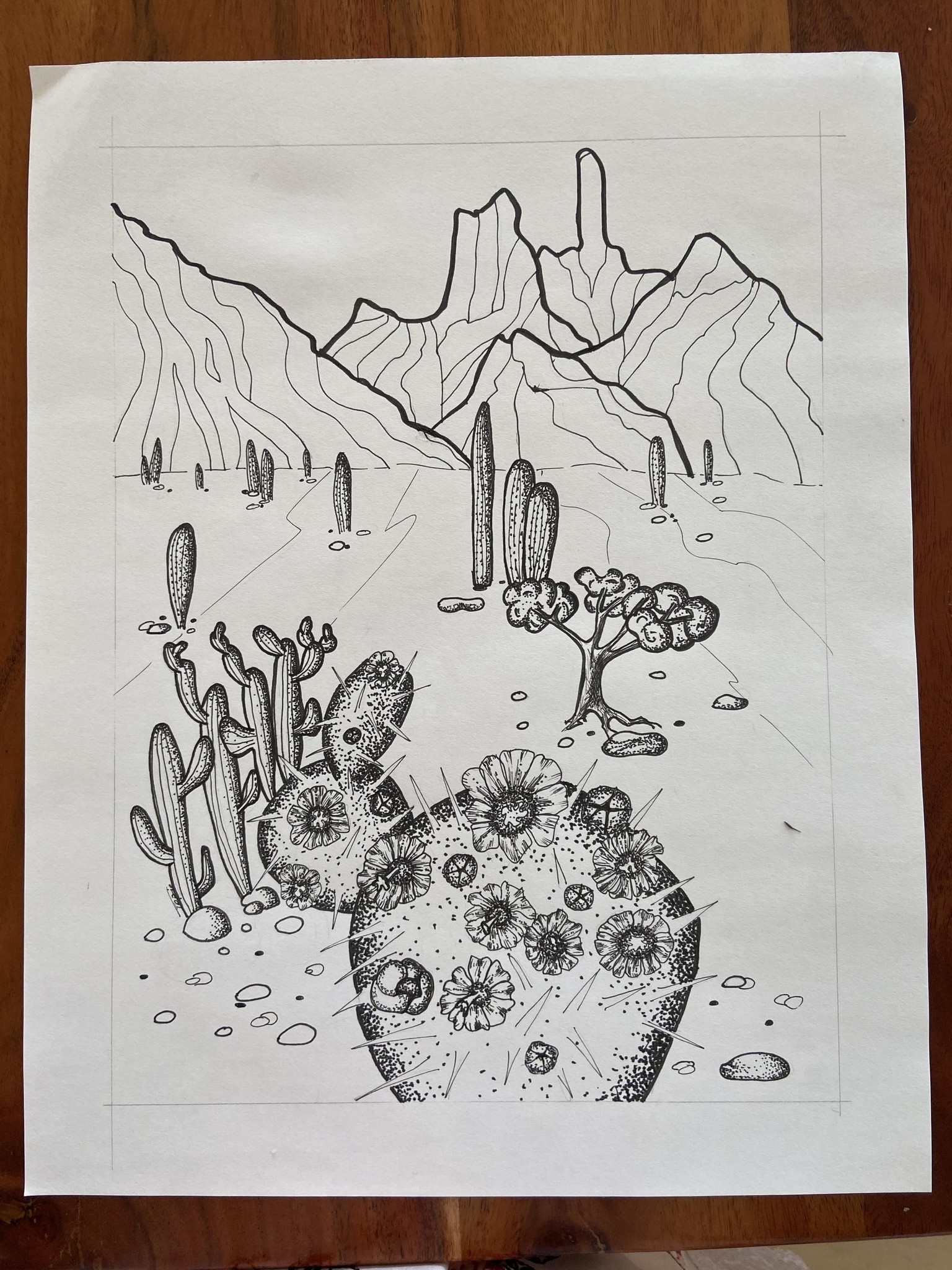 cactus - image 2 - student project
