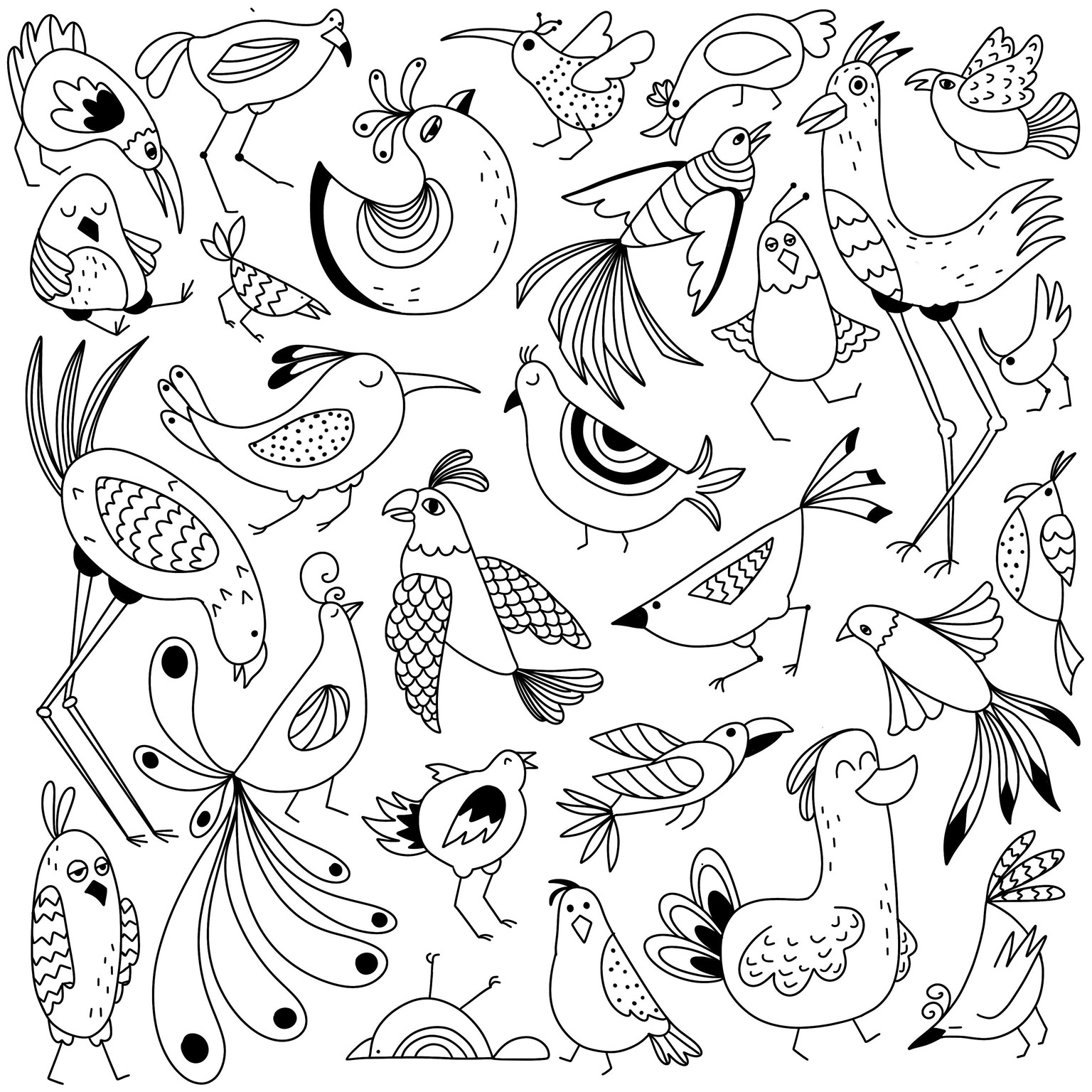 Birds - image 1 - student project