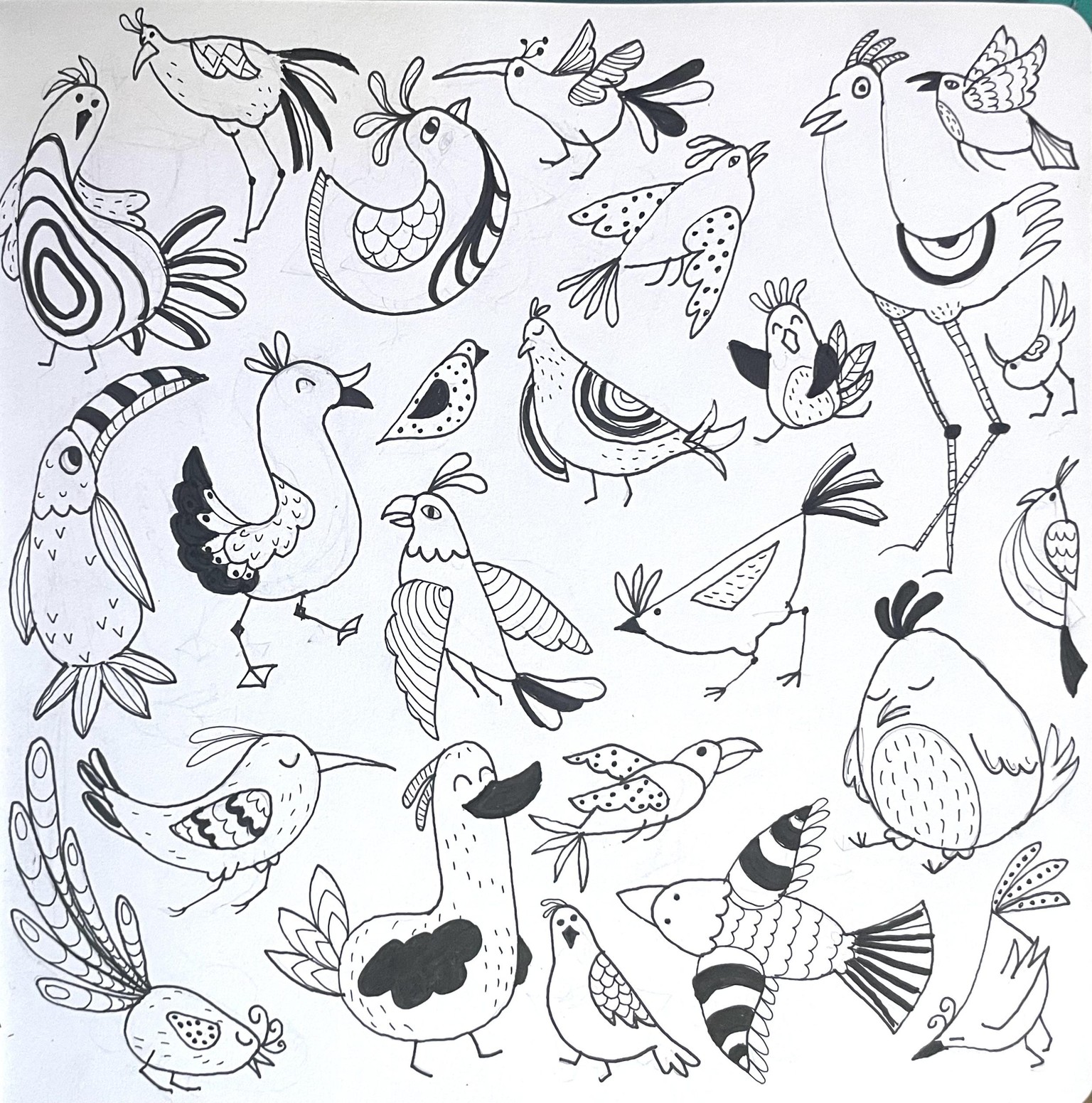 Birds - image 2 - student project