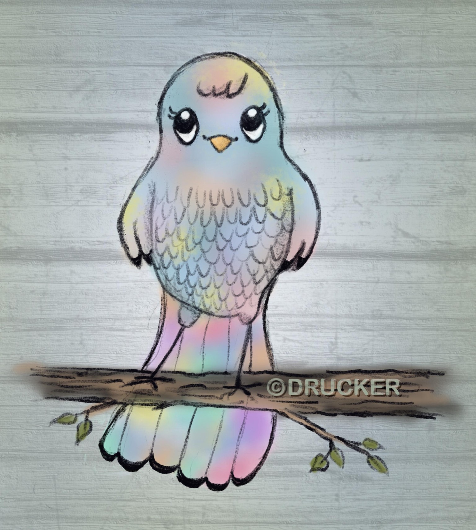 Bird of many Colors - Mr. McCheese - image 2 - student project