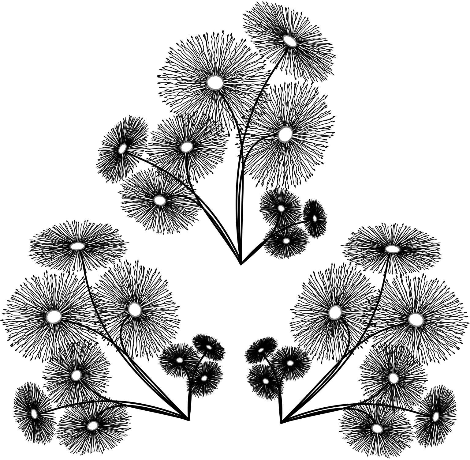 Dandelion Doodle - image 1 - student project
