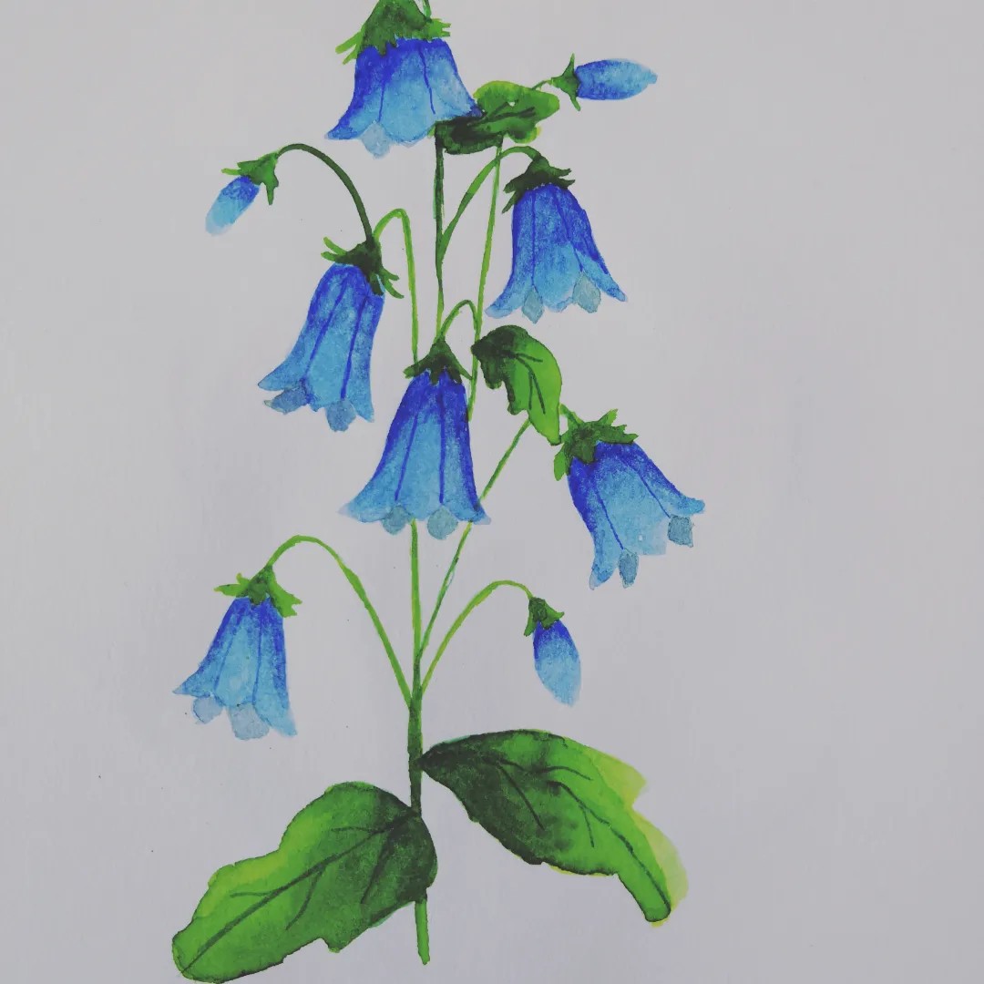10 days (minus iris picture) - image 7 - student project