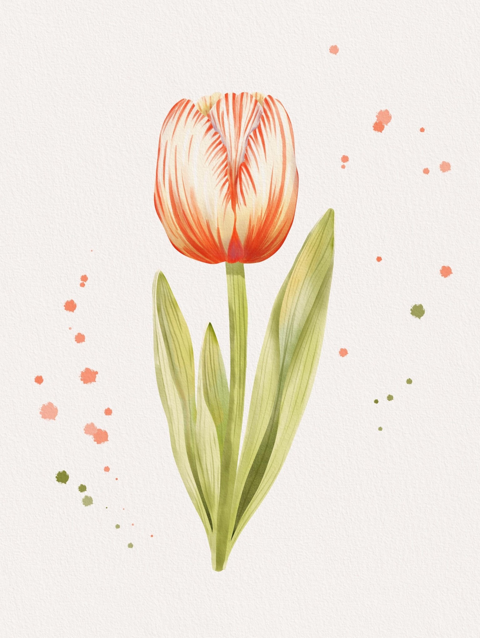 Painting watercolor tulip in Procreate - image 1 - student project