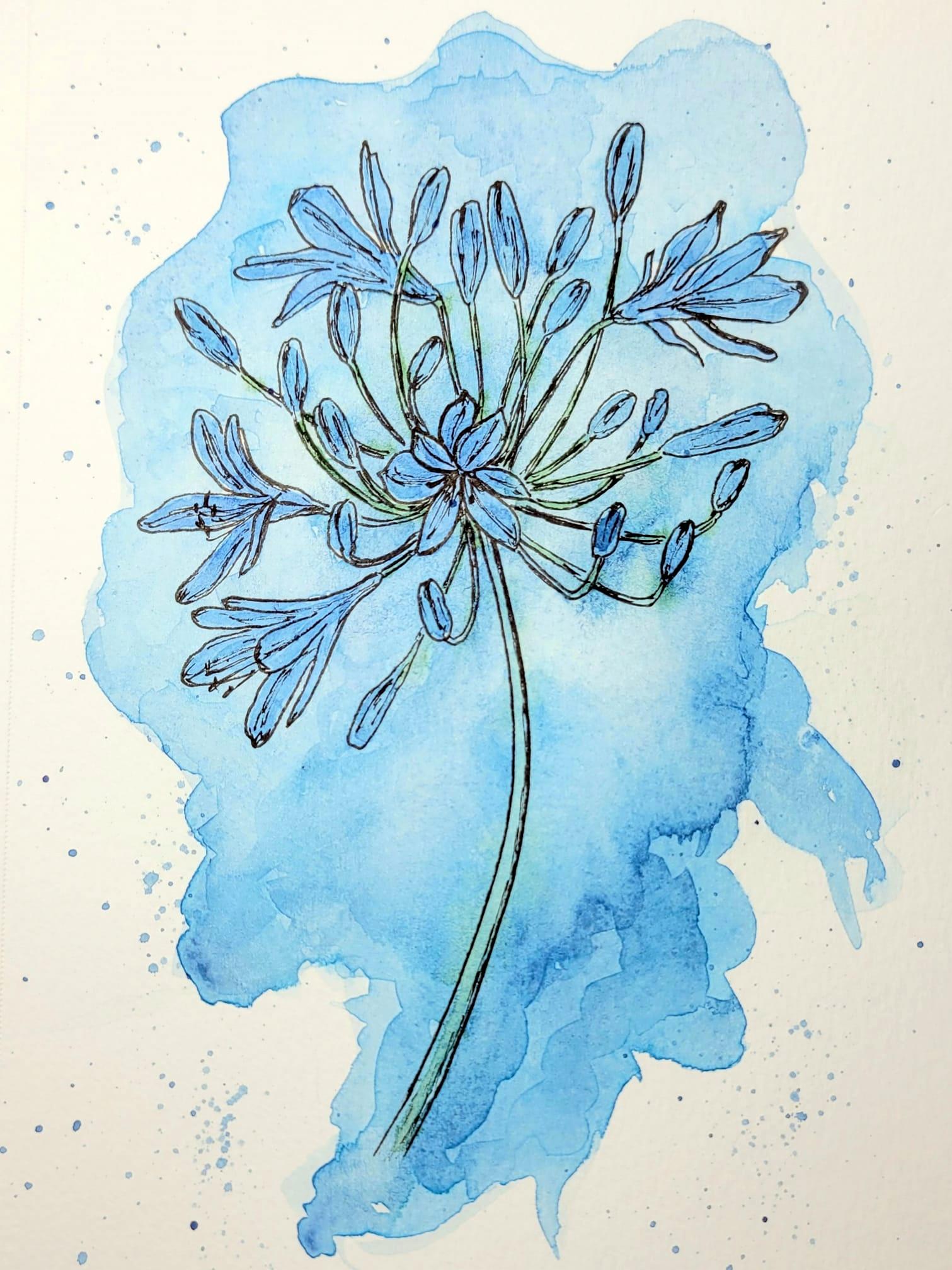 Agapanthus Flower - image 1 - student project