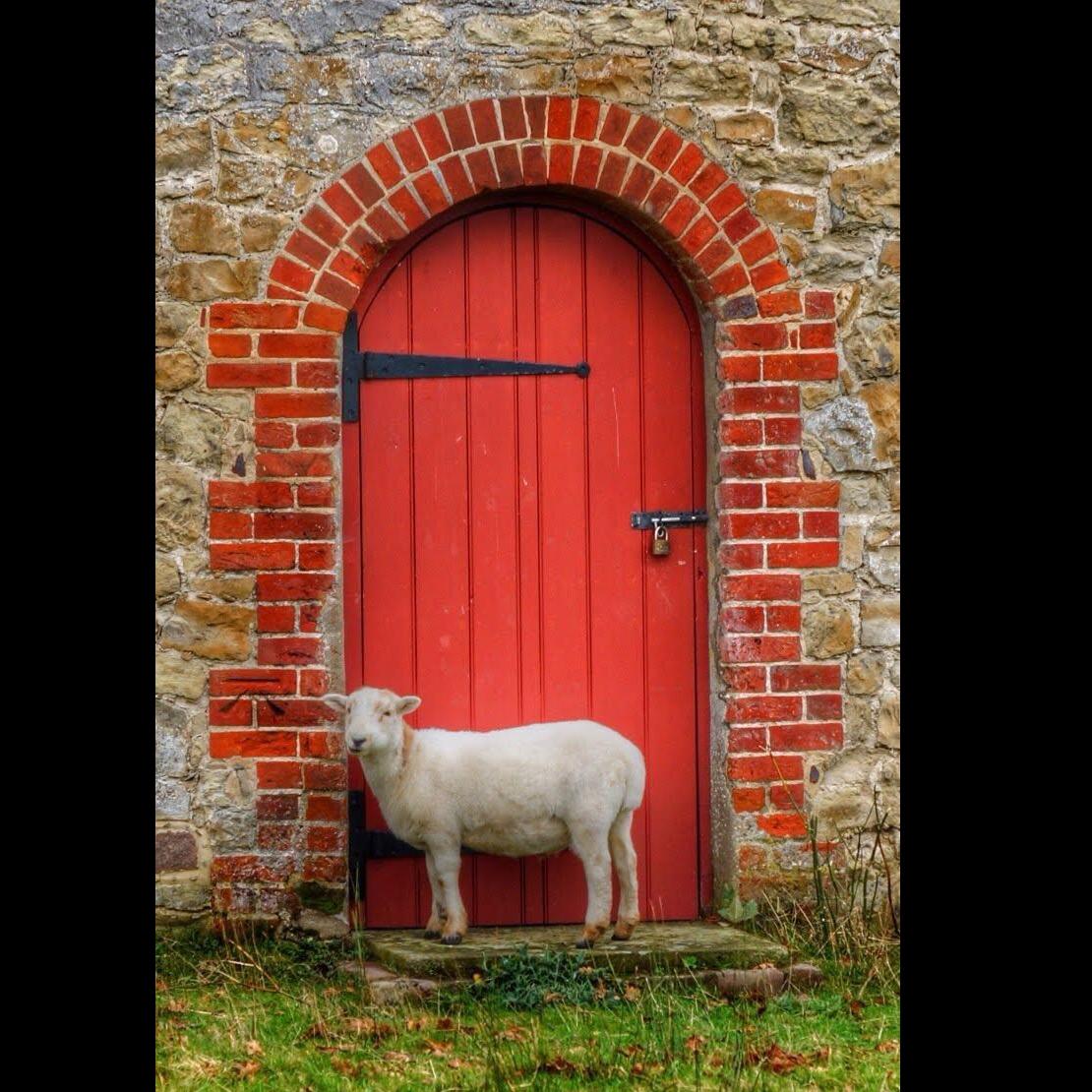 Door Illustration - image 4 - student project