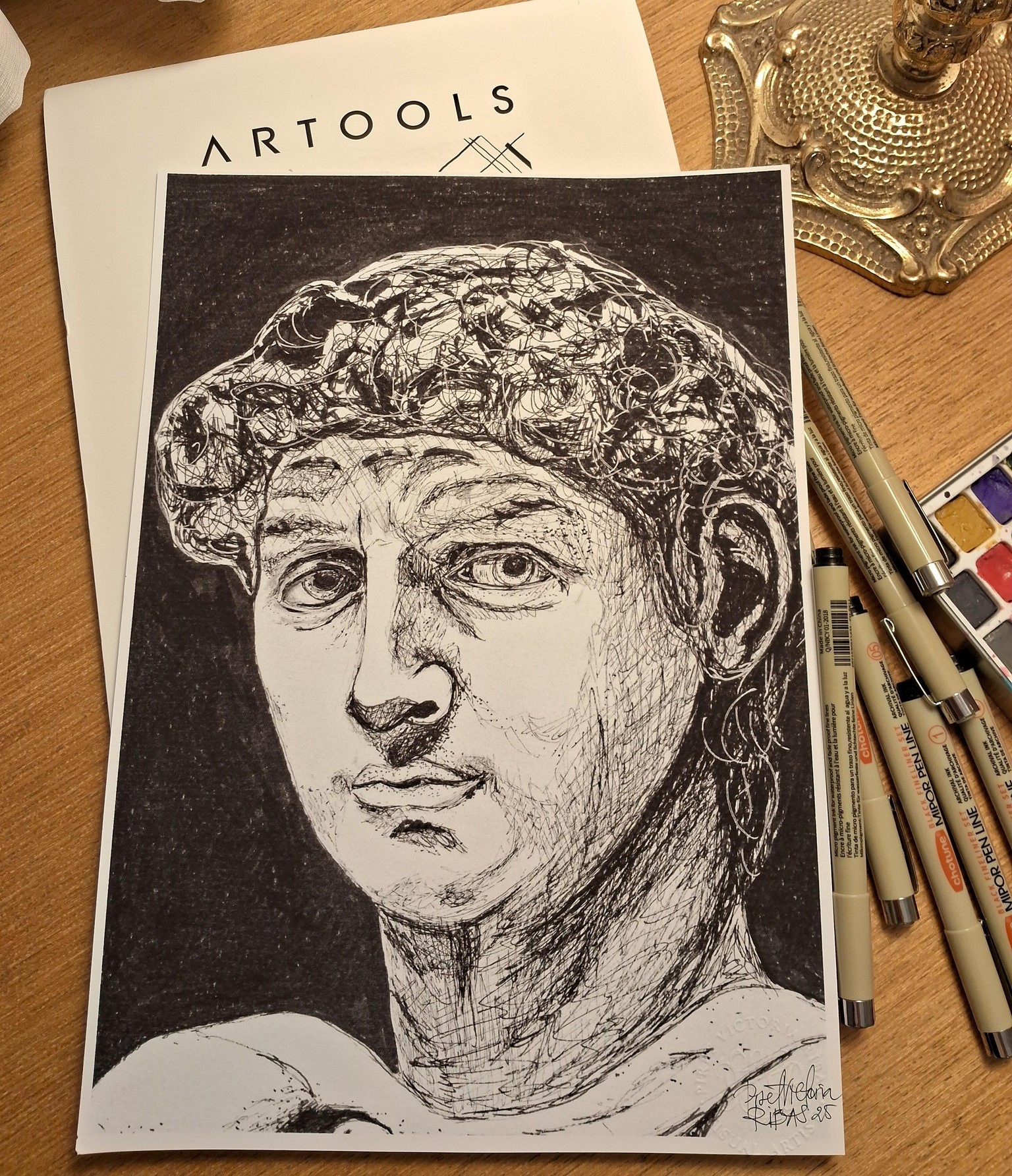 Classic Illustration - Drawing From Objects & Images - David in Ink - image 1 - student project