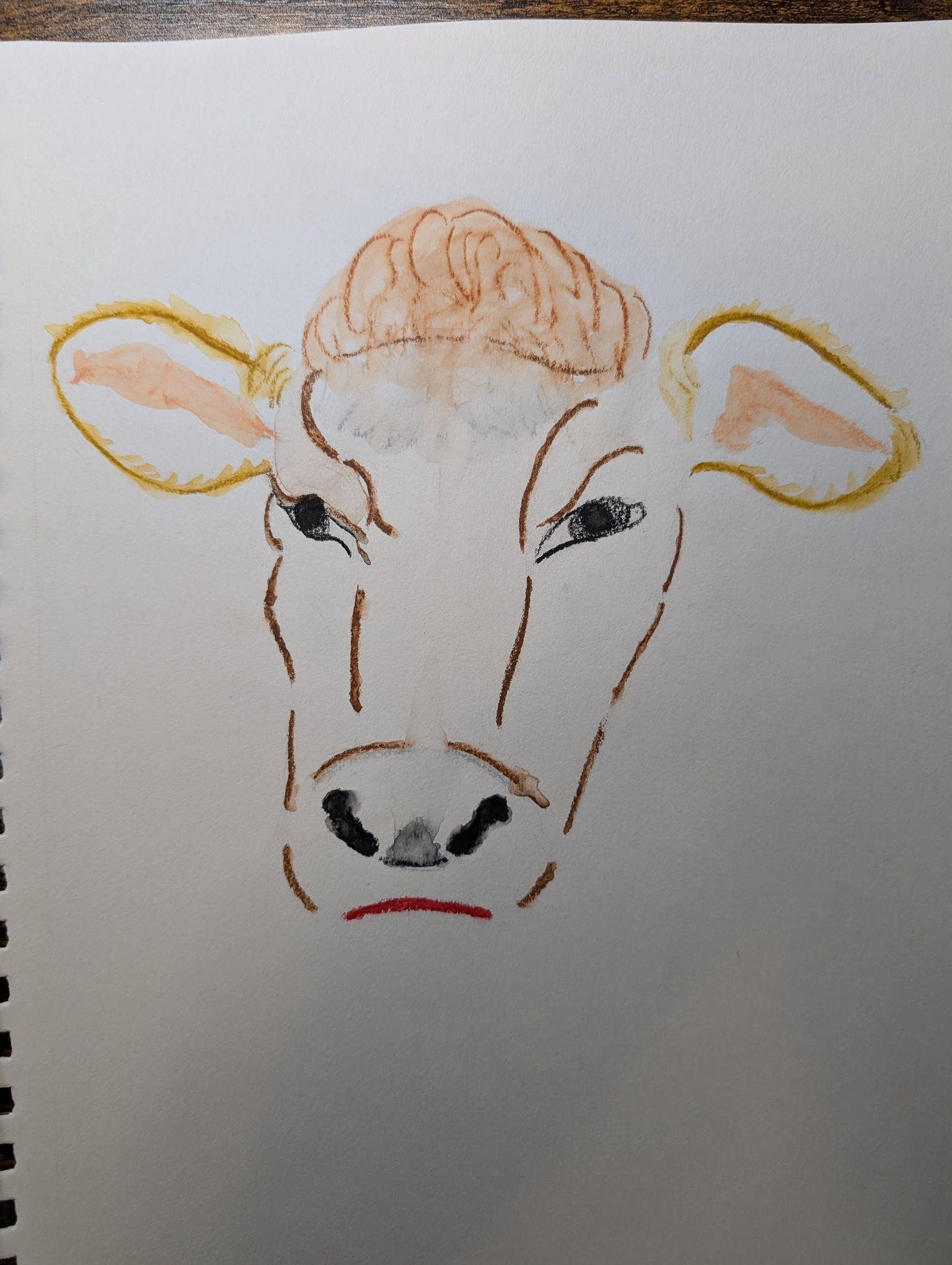 Cow - image 1 - student project