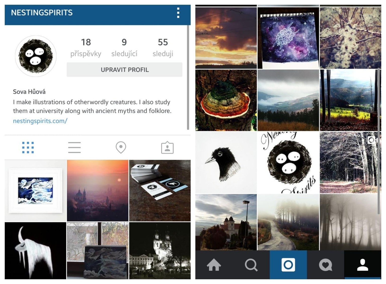 Nesting Spirits & social networks - image 3 - student project