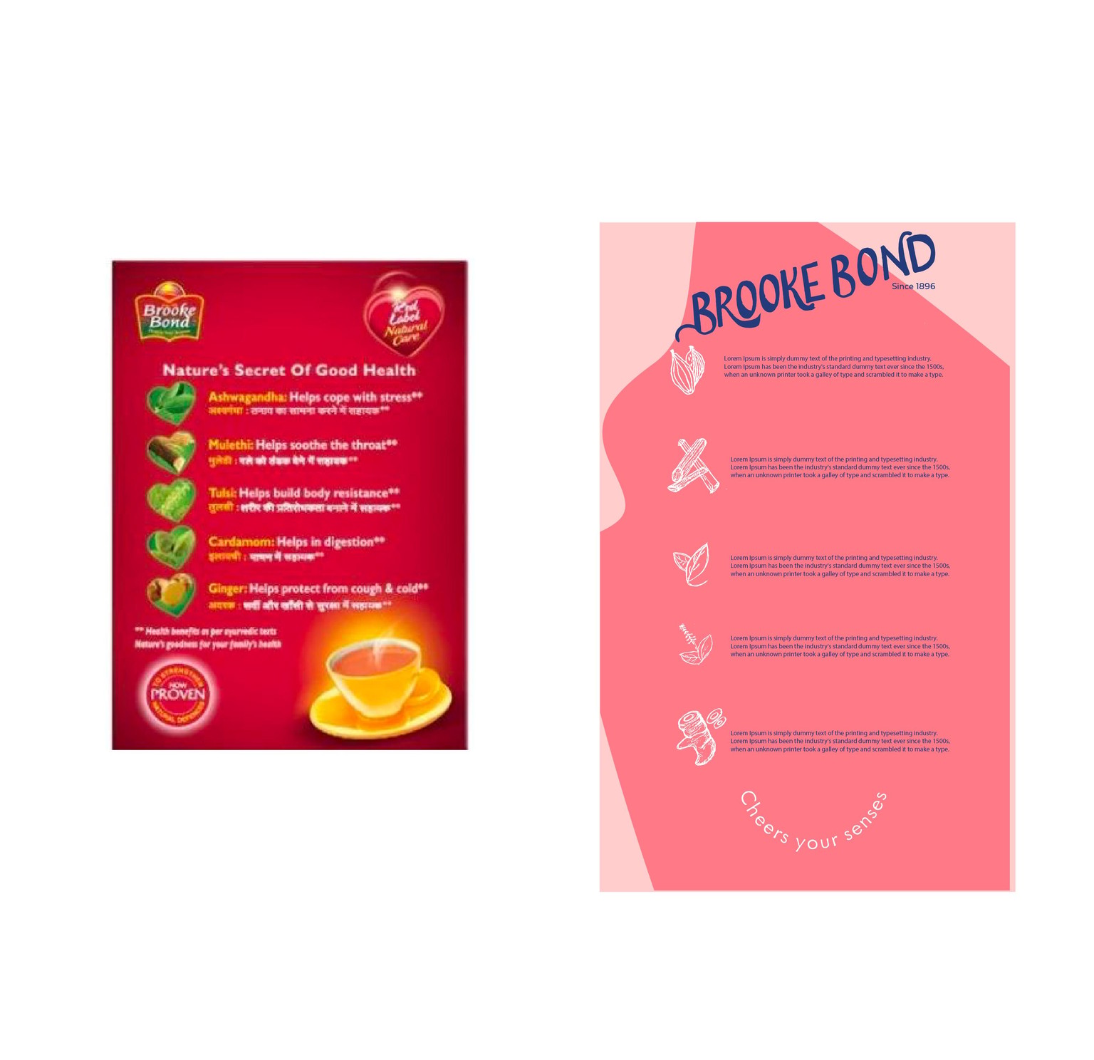 Tea Redesign Packaging - image 7 - student project