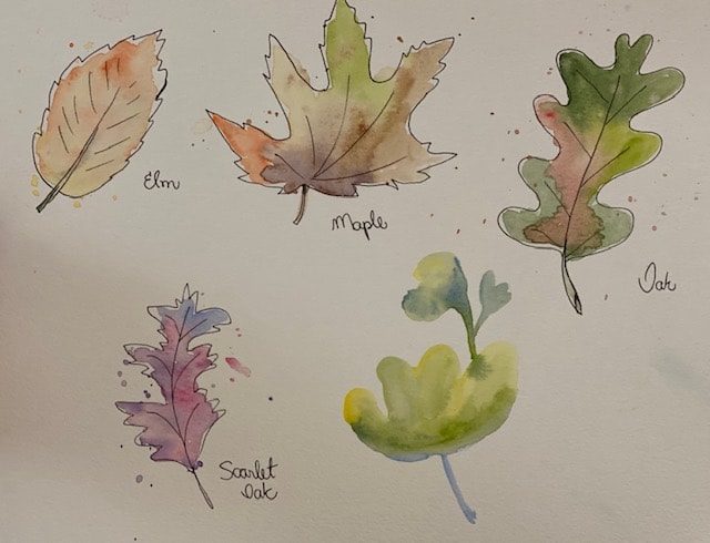 Some leaves - image 3 - student project