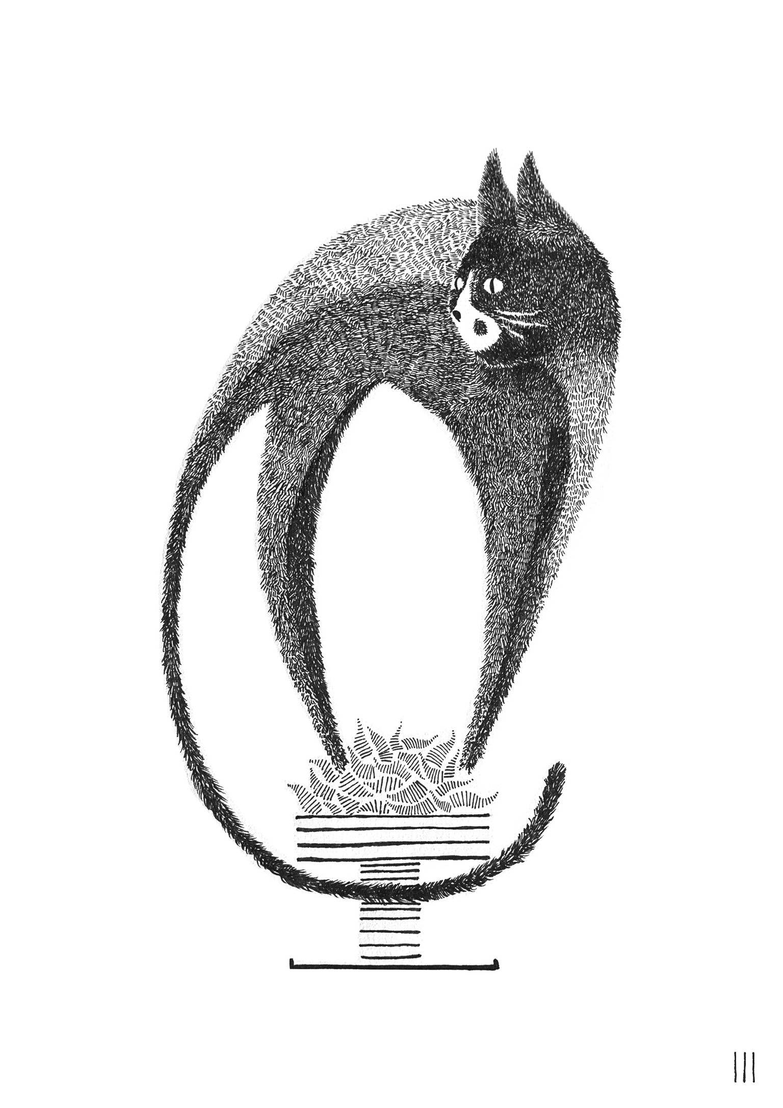 Containment with my cat - image 1 - student project