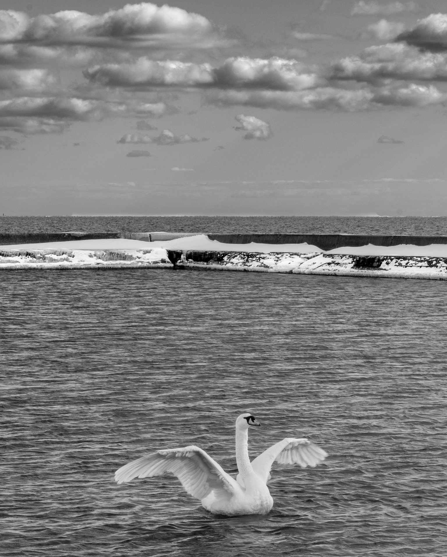 Converting Colour to B+W - image 3 - student project