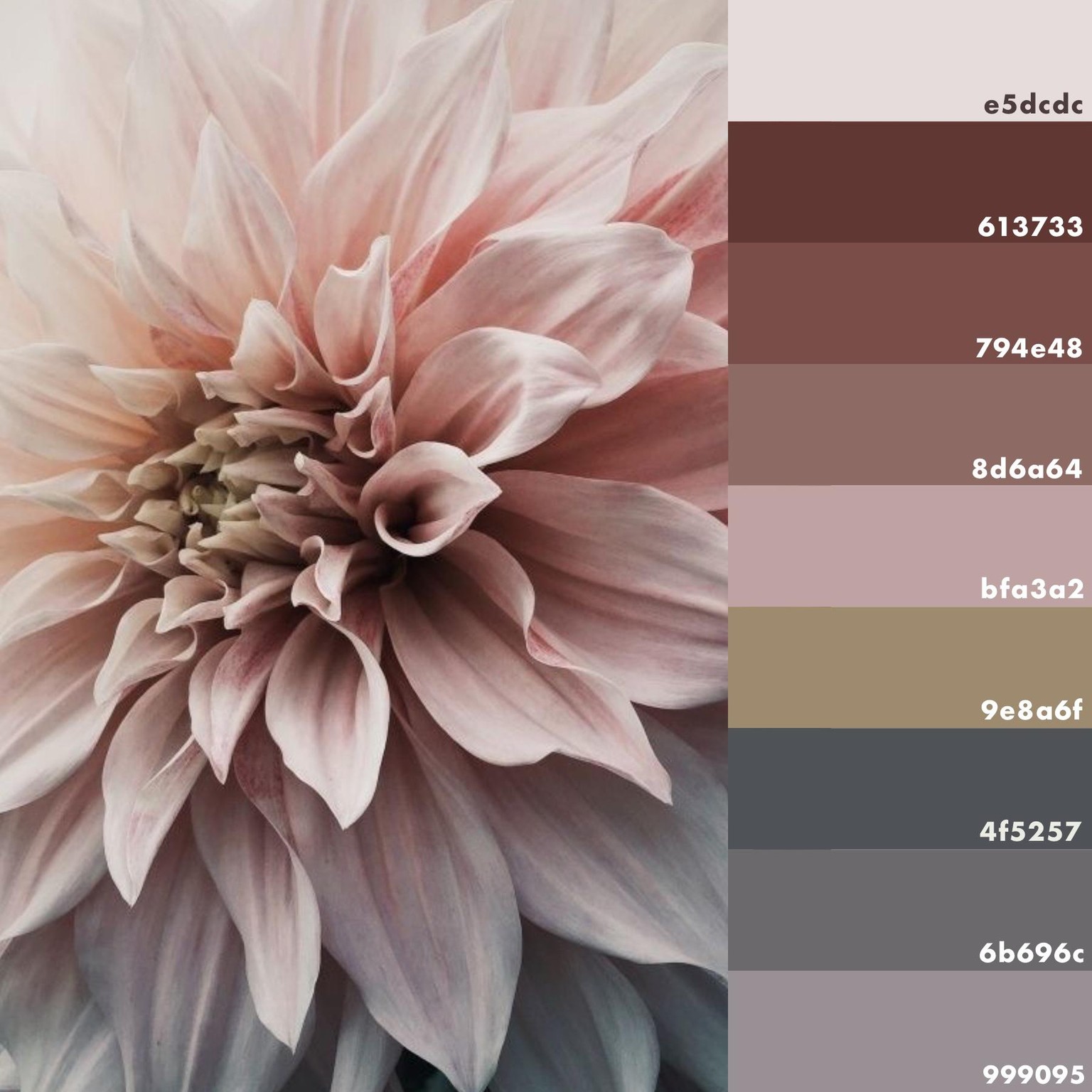 Custom Signature Palette - image 1 - student project