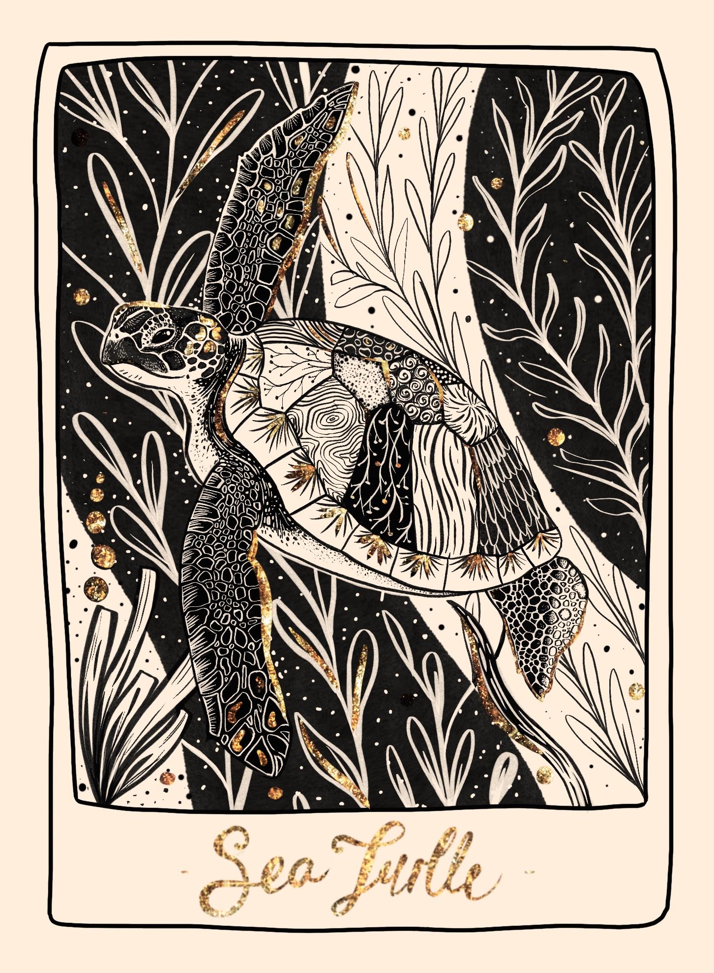 Turtle - image 1 - student project