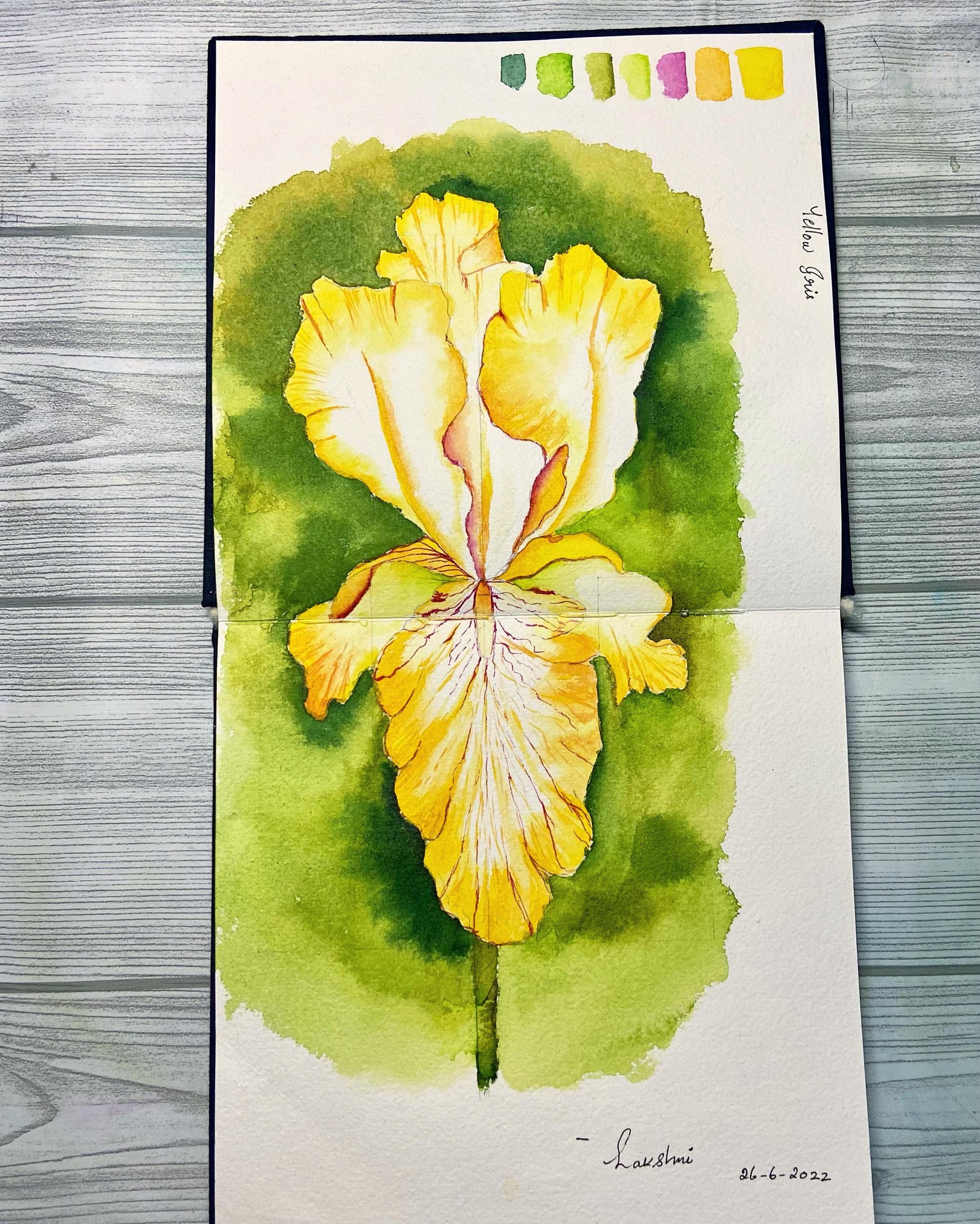 Watercolor Iris by Dhritikana Nath - image 2 - student project