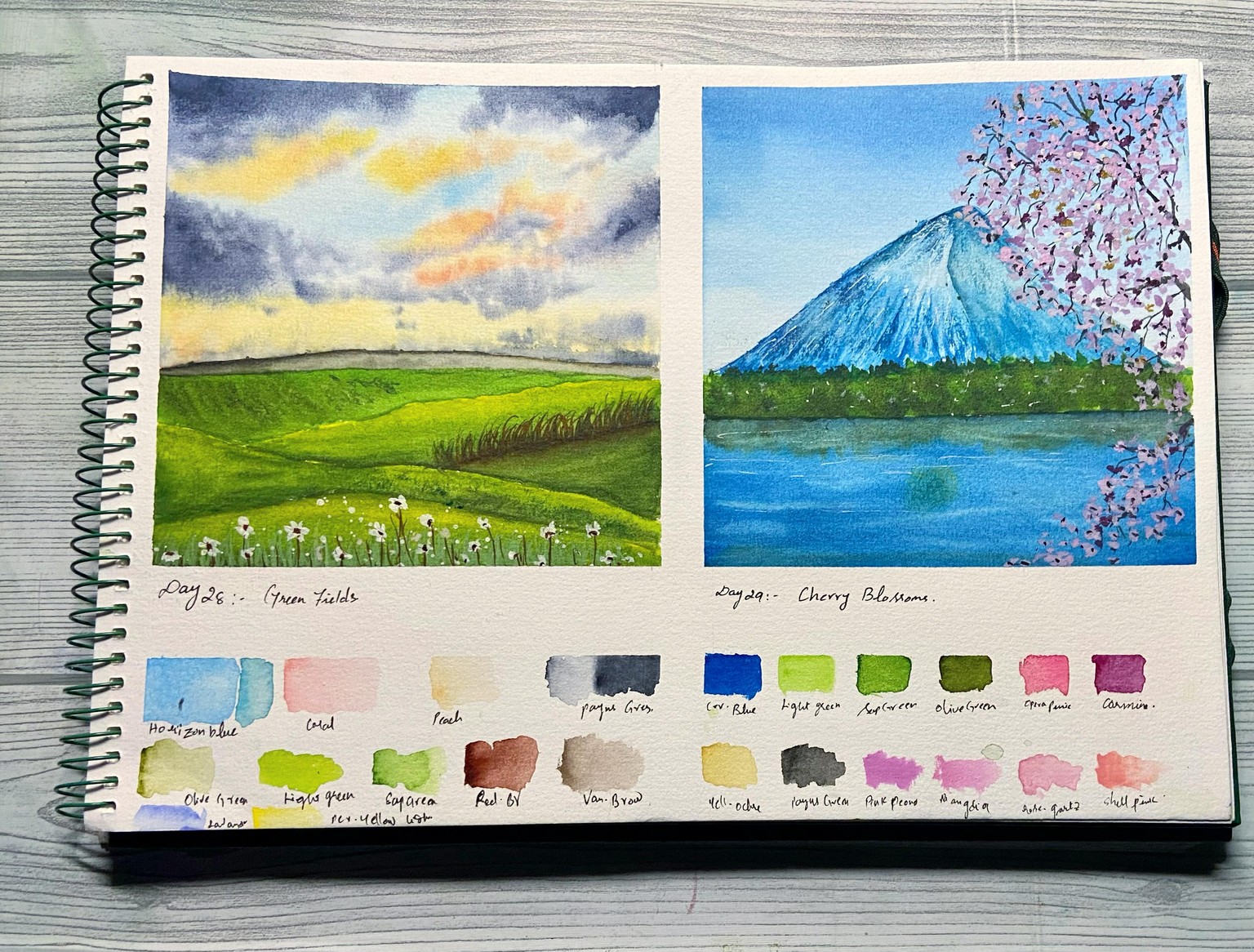 30days watercolour  landscape by Uma - image 1 - student project