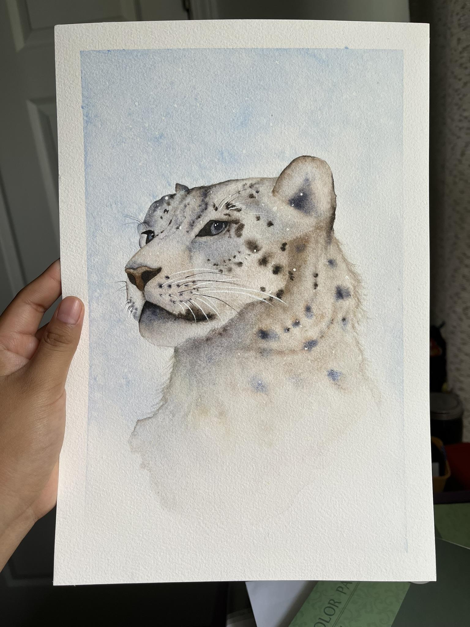 Snow Leopard - image 1 - student project