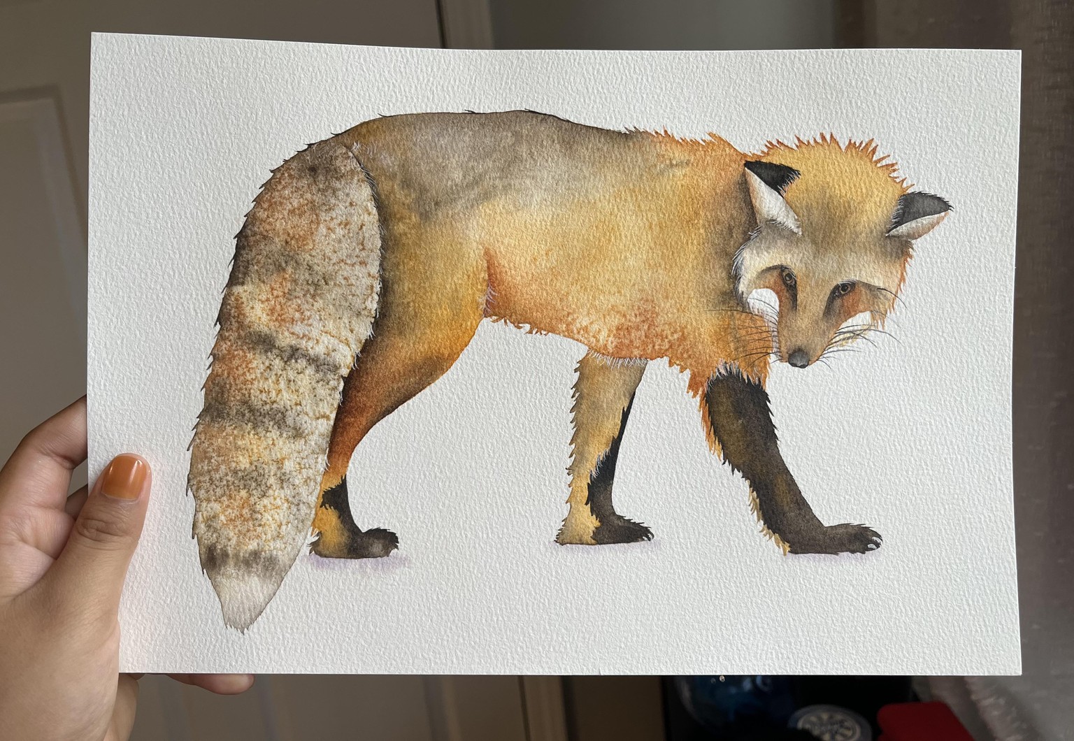 Watercolor Fox - image 2 - student project