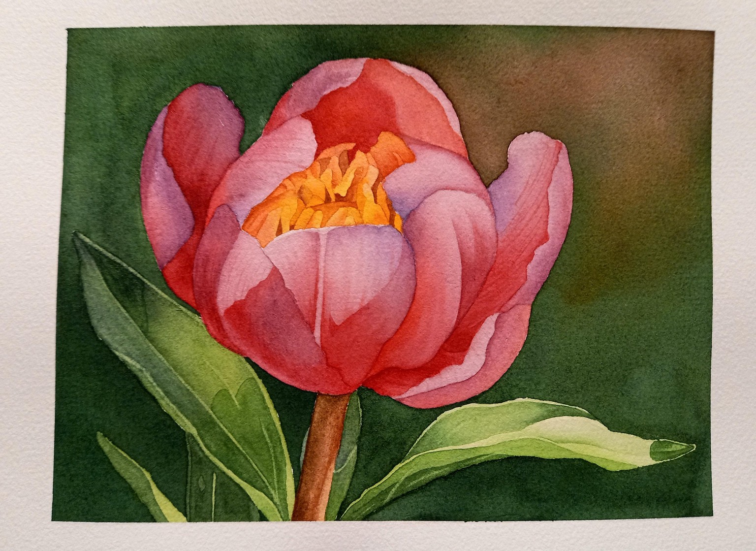 Peony in Watercolor - image 7 - student project