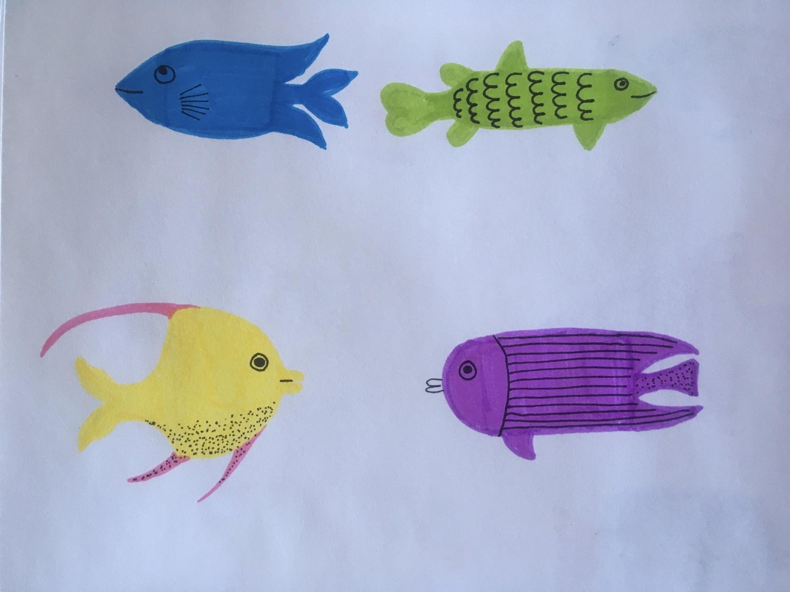 Let's draw some fish - image 1 - student project