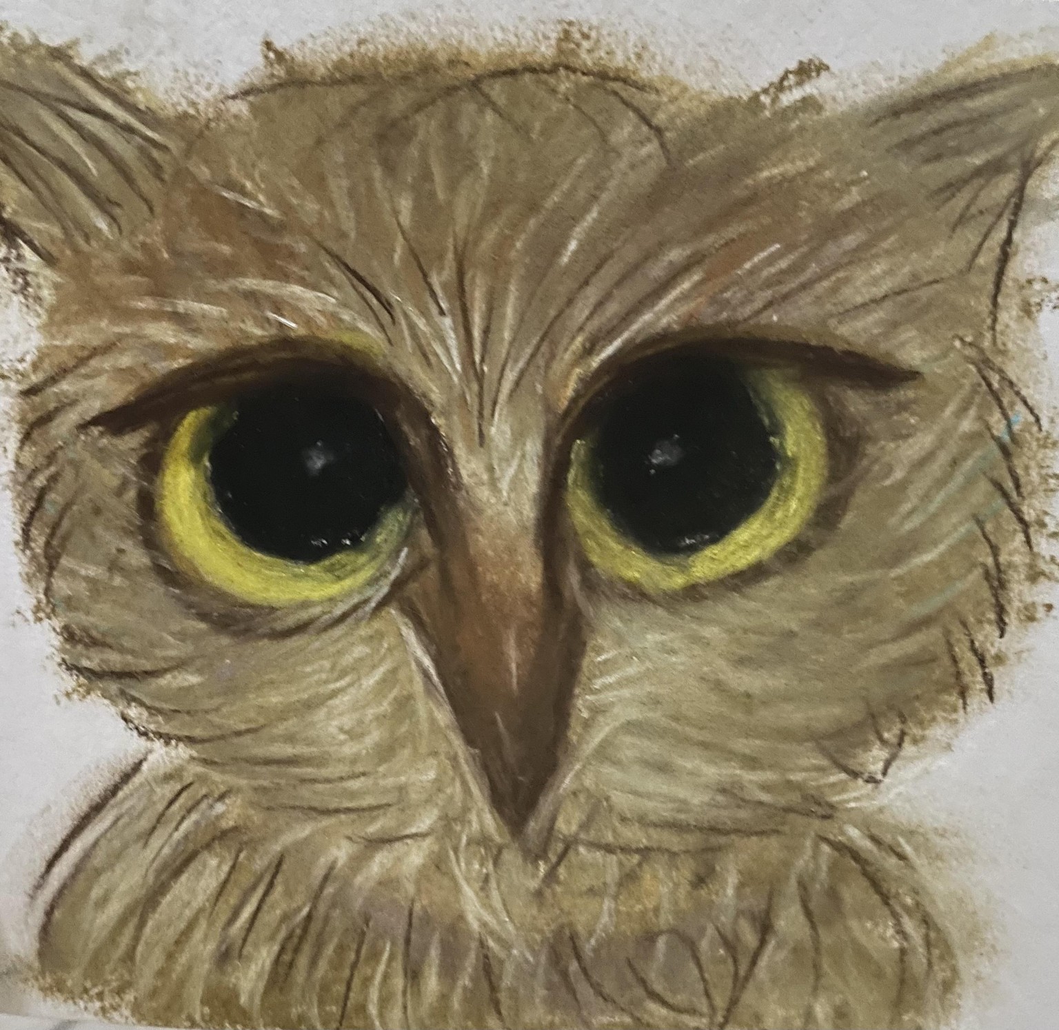 An Owl - image 1 - student project