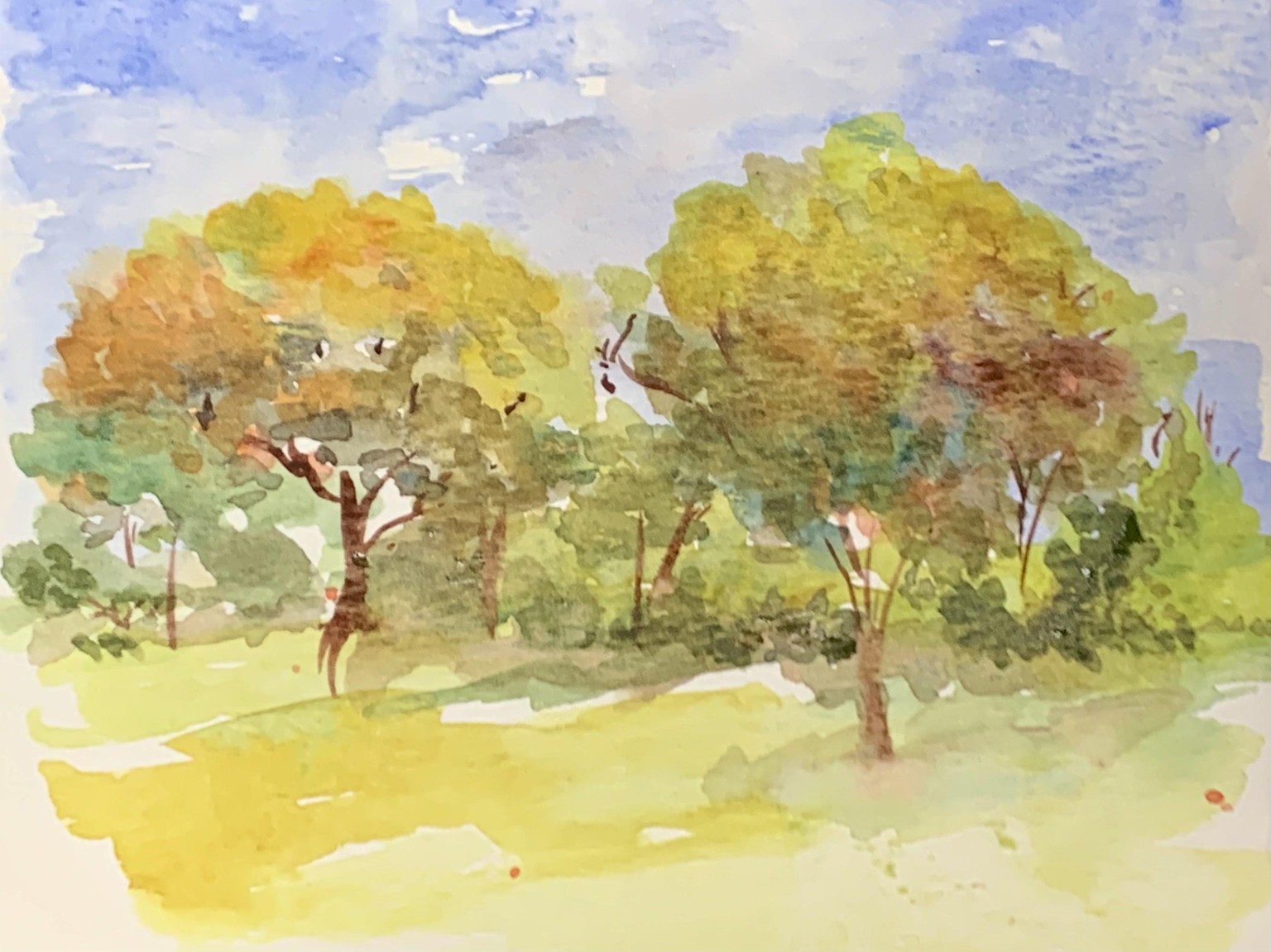 Loose hedgerow - image 1 - student project