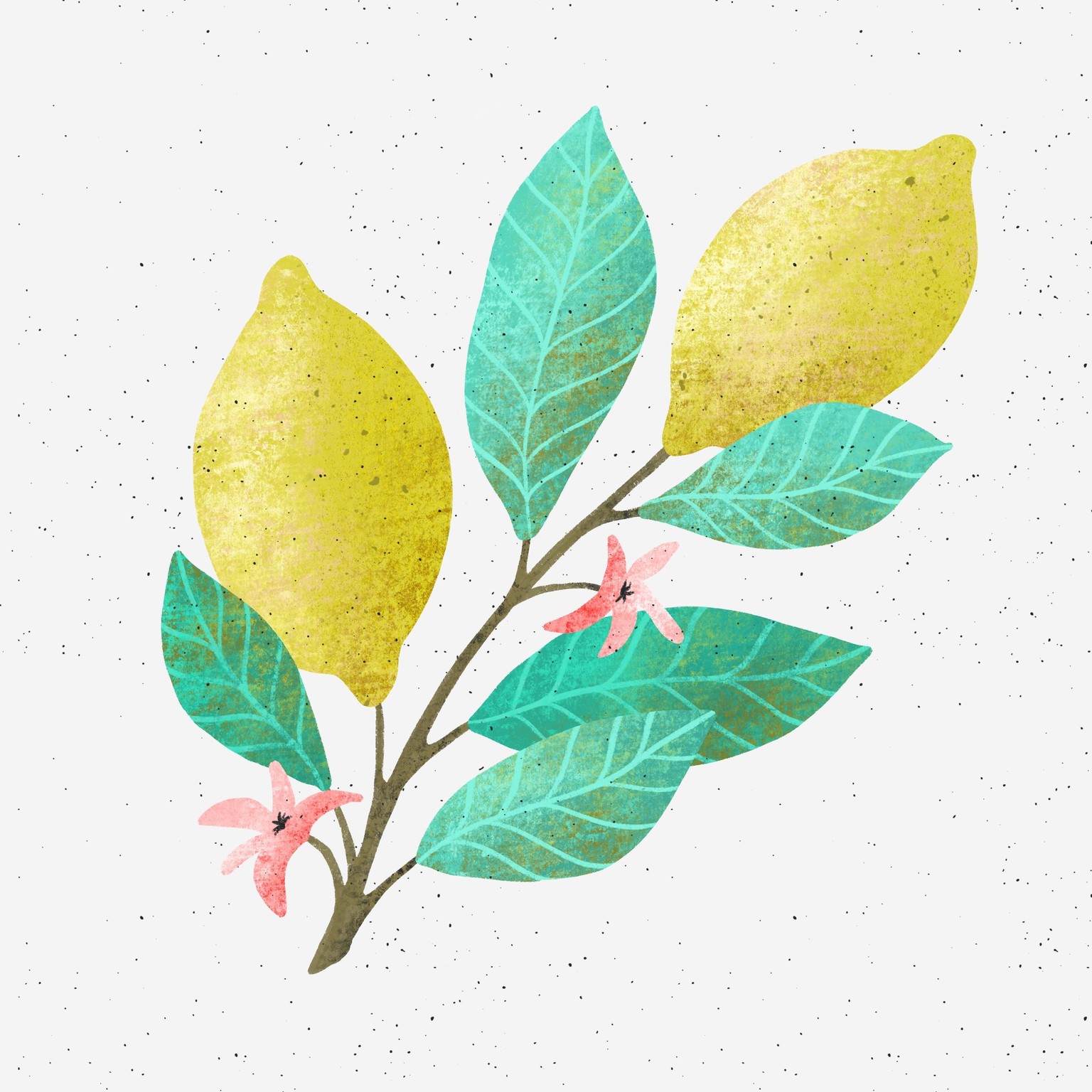 Illustrations with Layered Texture and Color - image 1 - student project