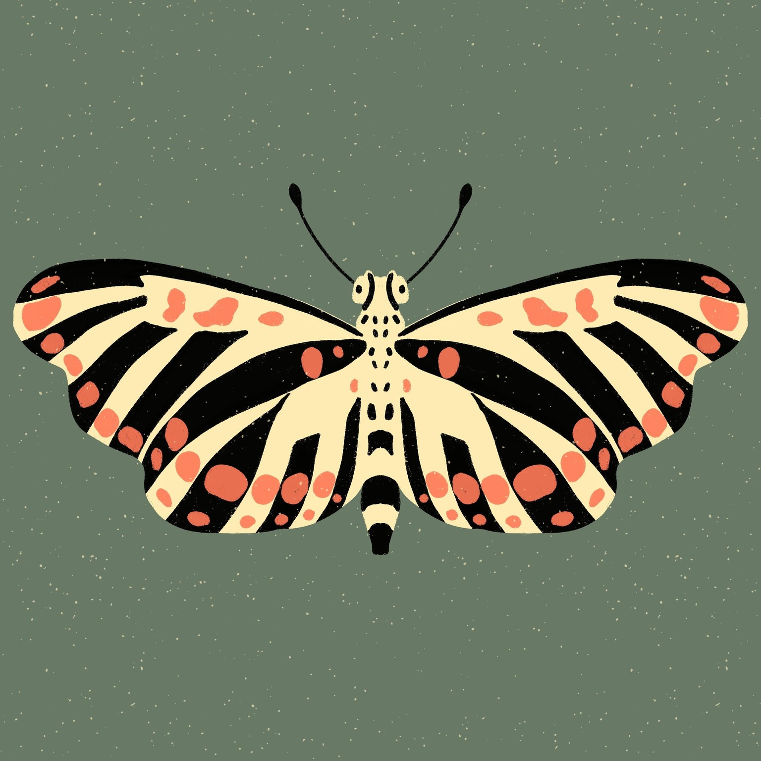 Insect Illustrations and Animations in Procreate - image 1 - student project