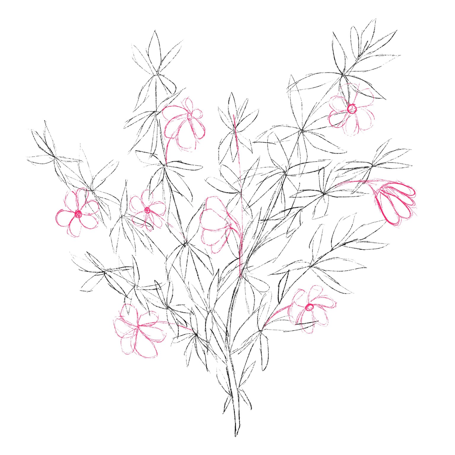 Wildflowers in Procreate - image 2 - student project