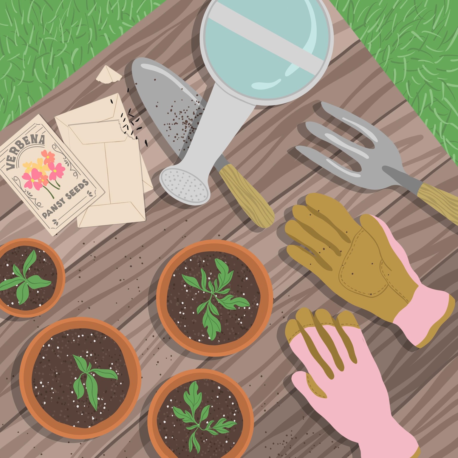 Flatlay Illustrations - image 6 - student project
