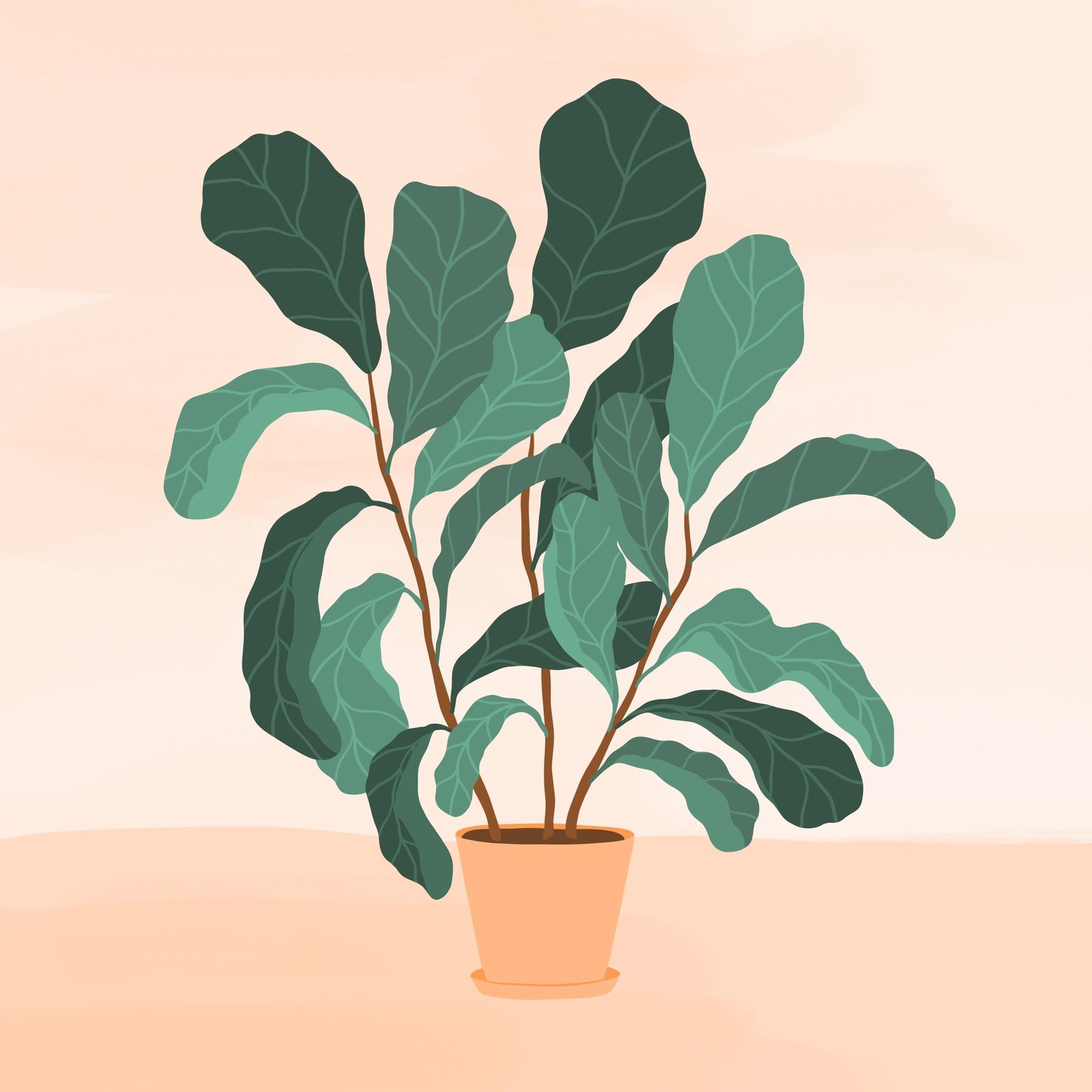 Plant Illustrations in Procreate - image 1 - student project