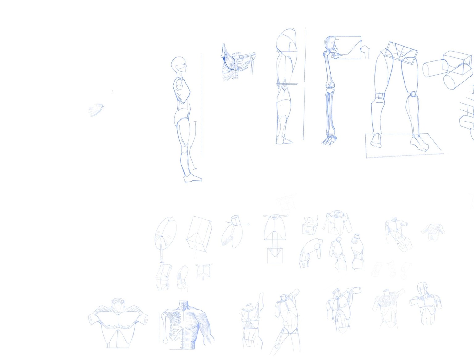 figure drawing - image 1 - student project