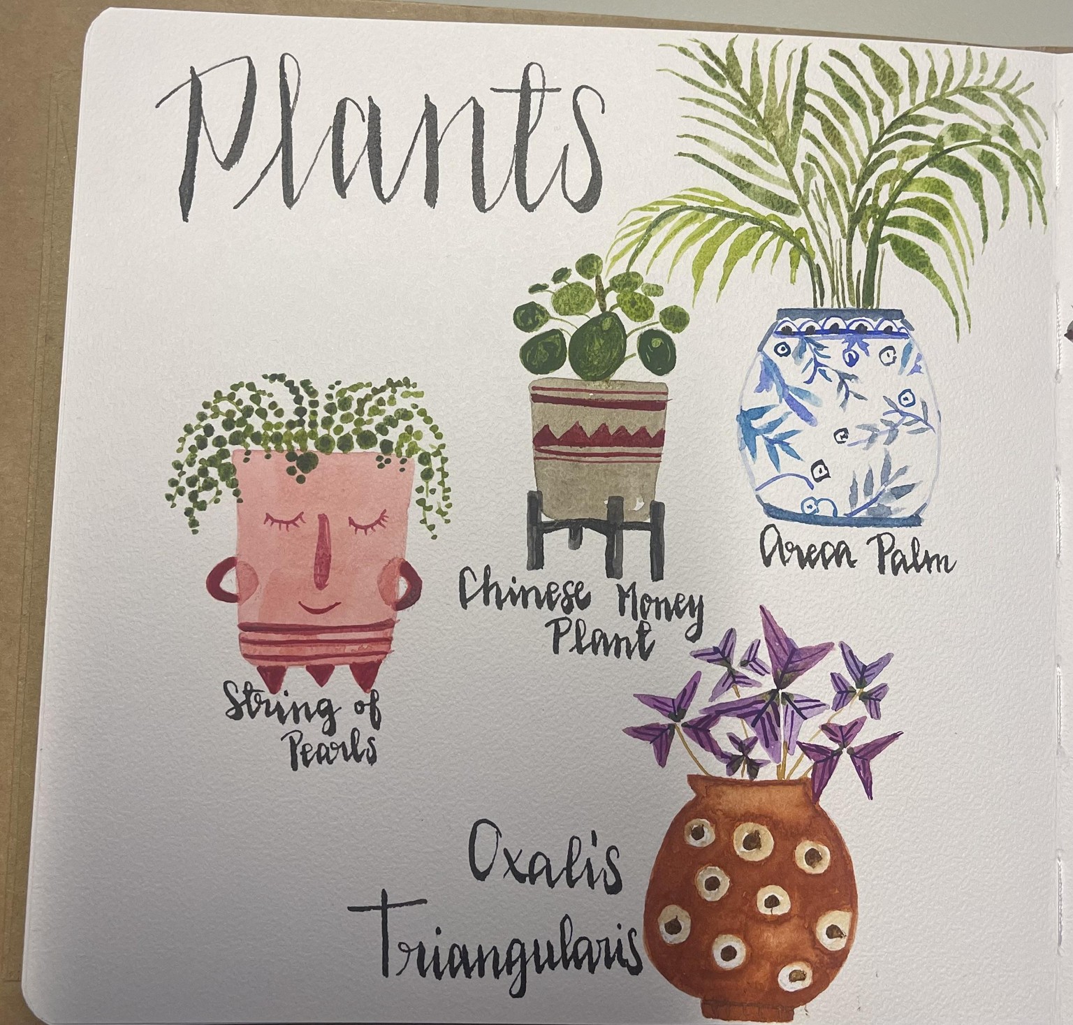 Some potted planst - image 1 - student project