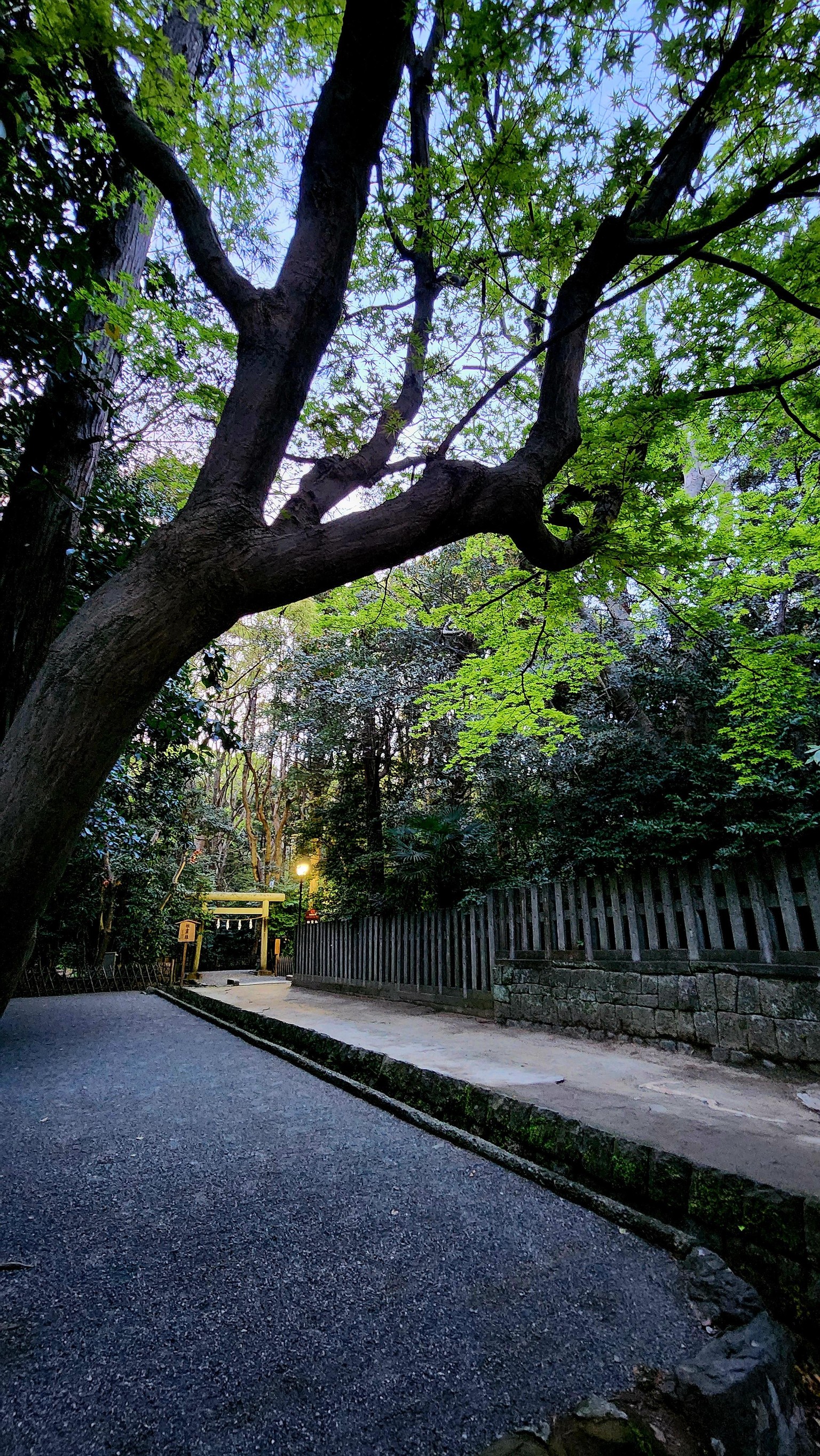Kamakura Photography Walk - image 3 - student project