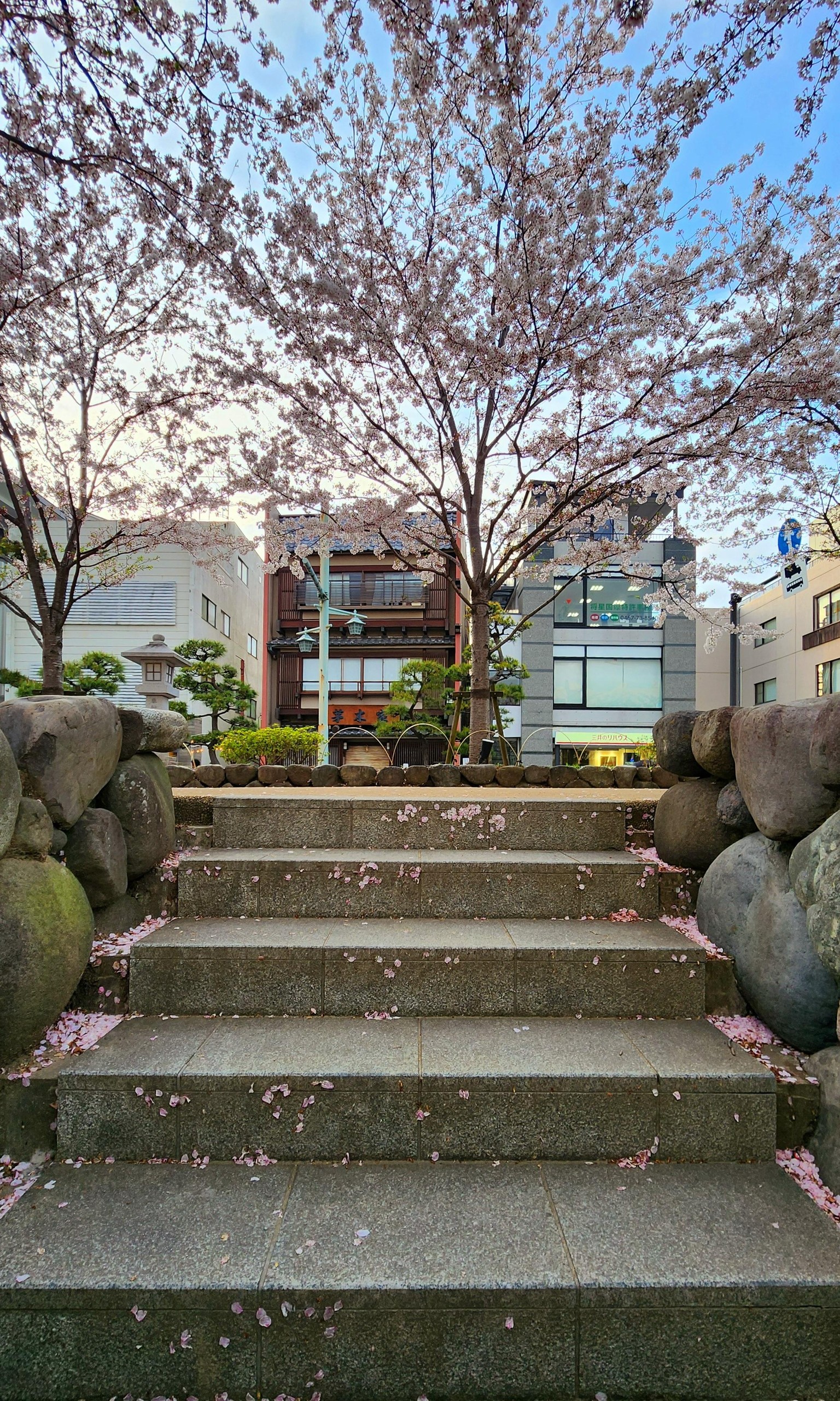 Kamakura Photography Walk - image 2 - student project