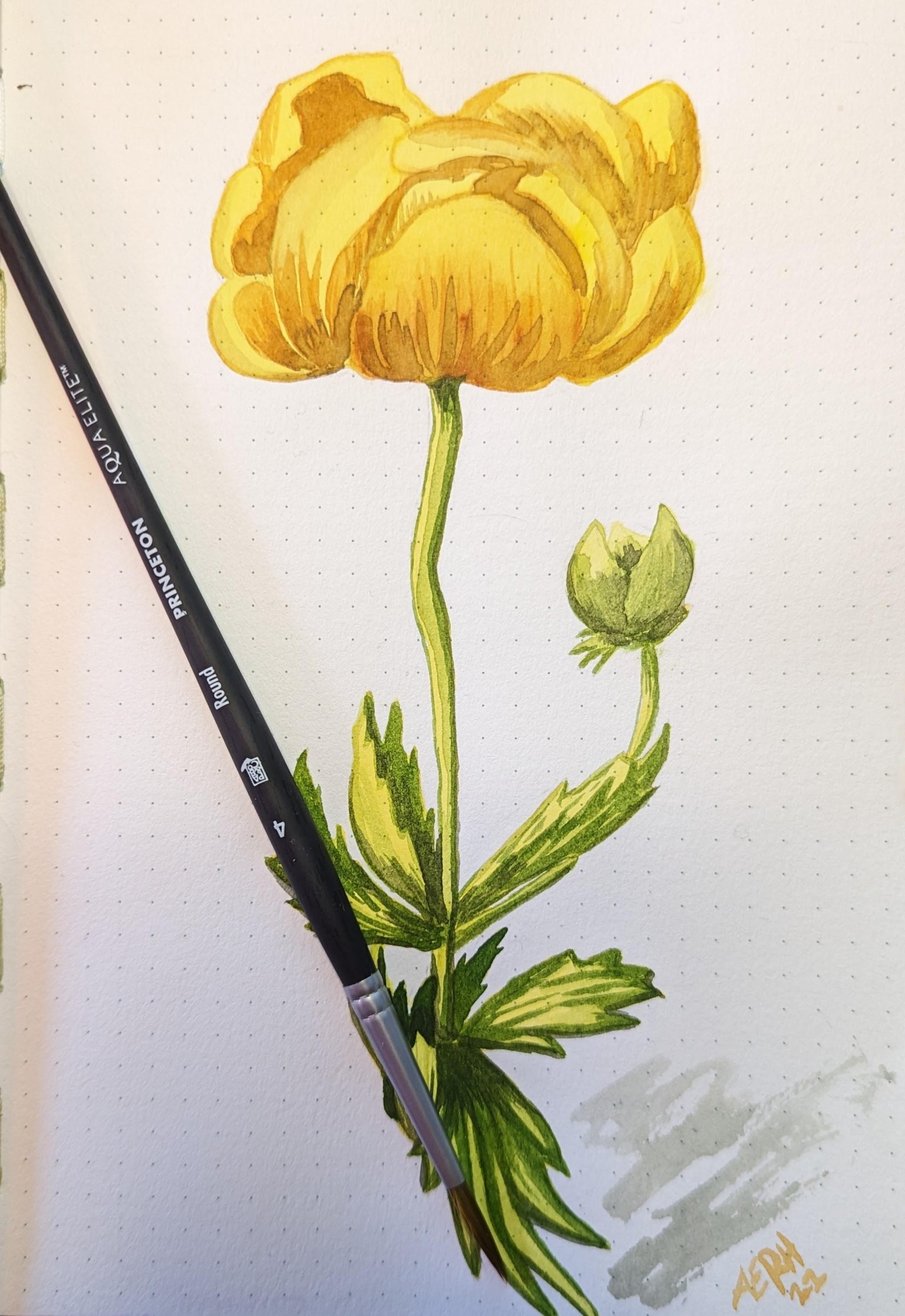 Watercolor Flower - image 1 - student project