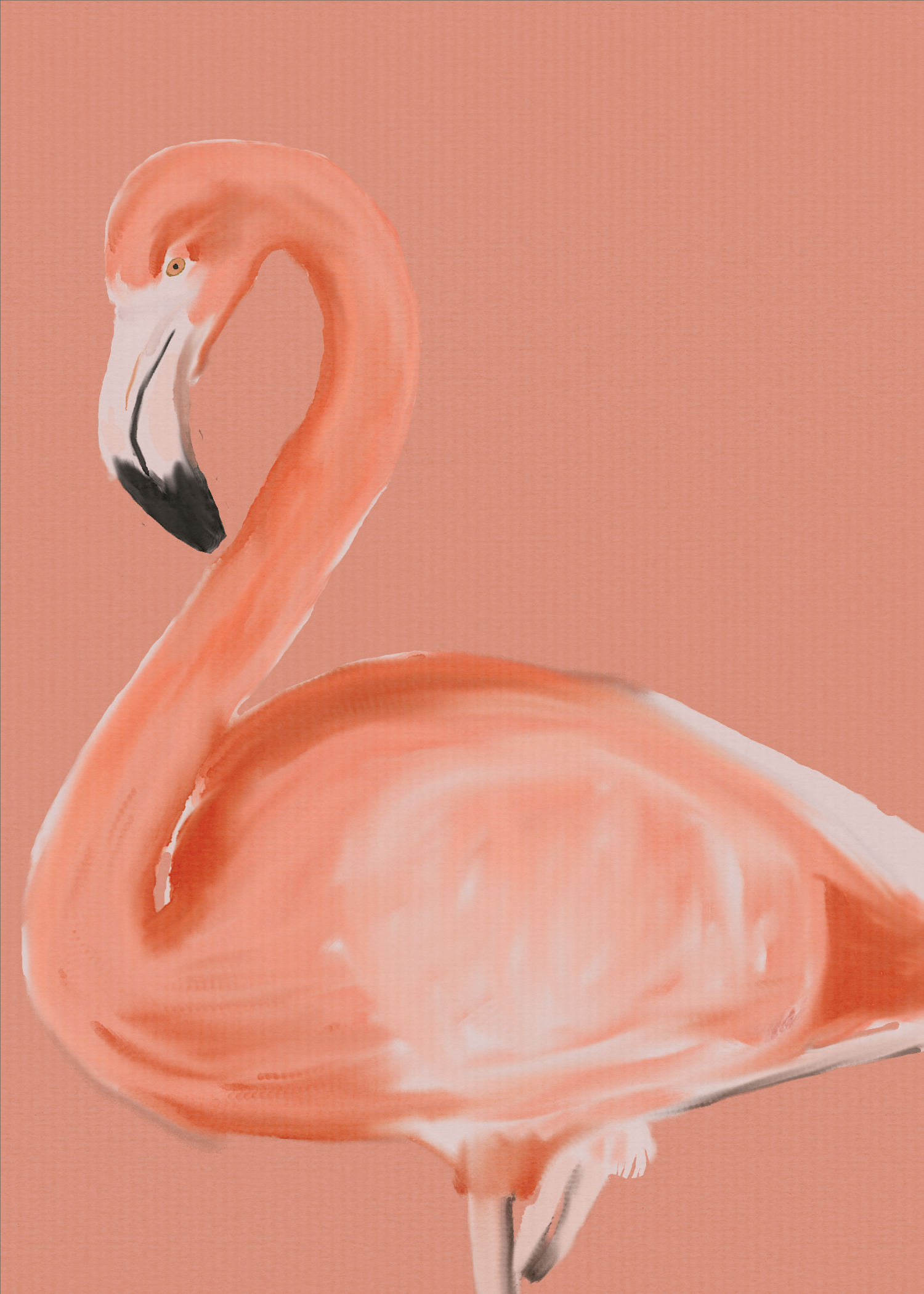 Flamingo Anyone? - image 1 - student project