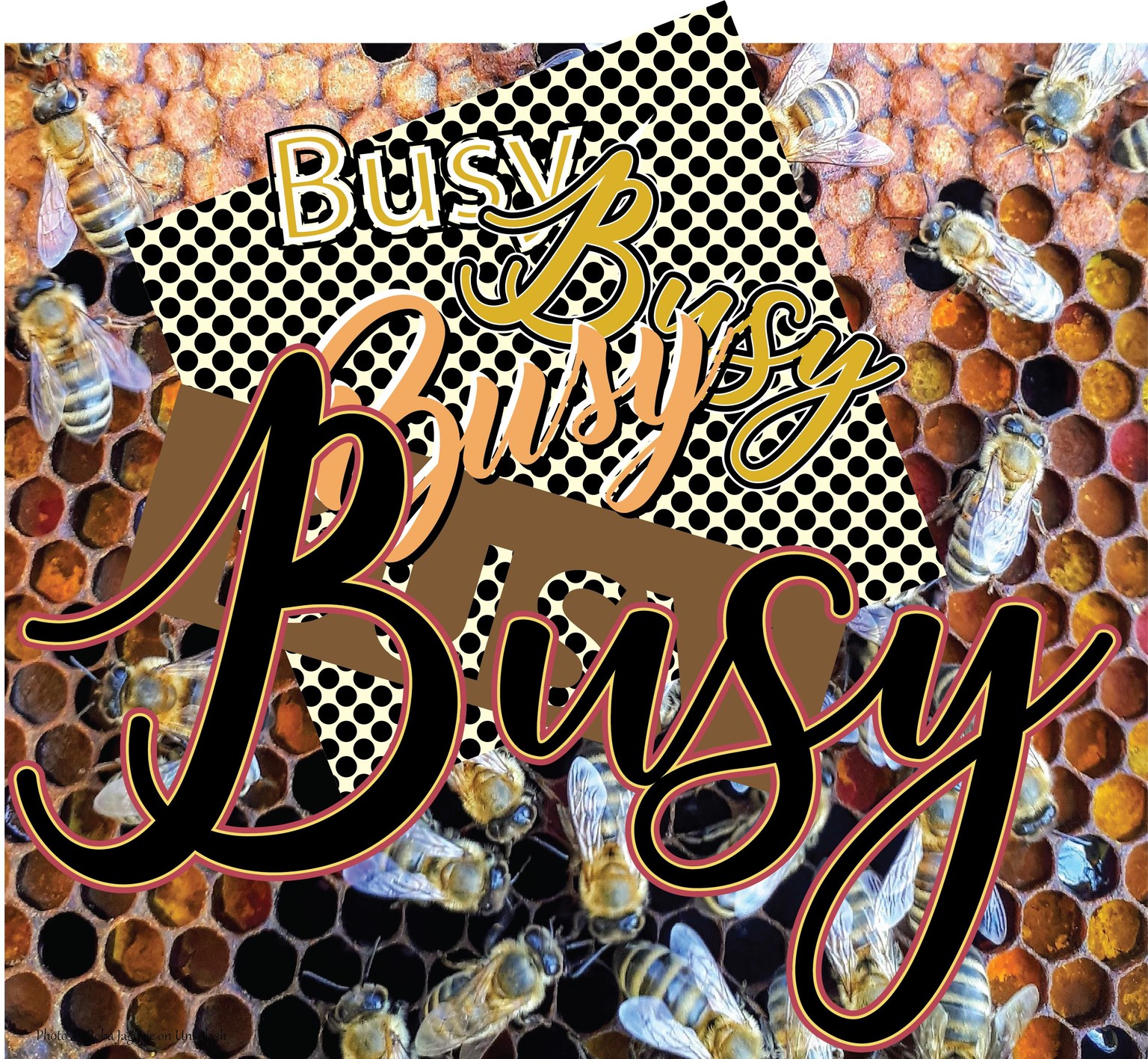 Busy as a Bee - image 1 - student project