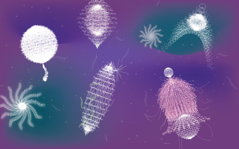 Crazeolareans - image 1 - student project