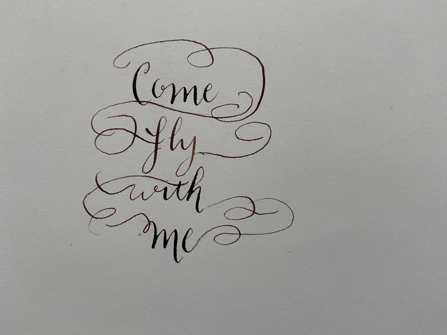 Come Fly With Me - image 1 - student project