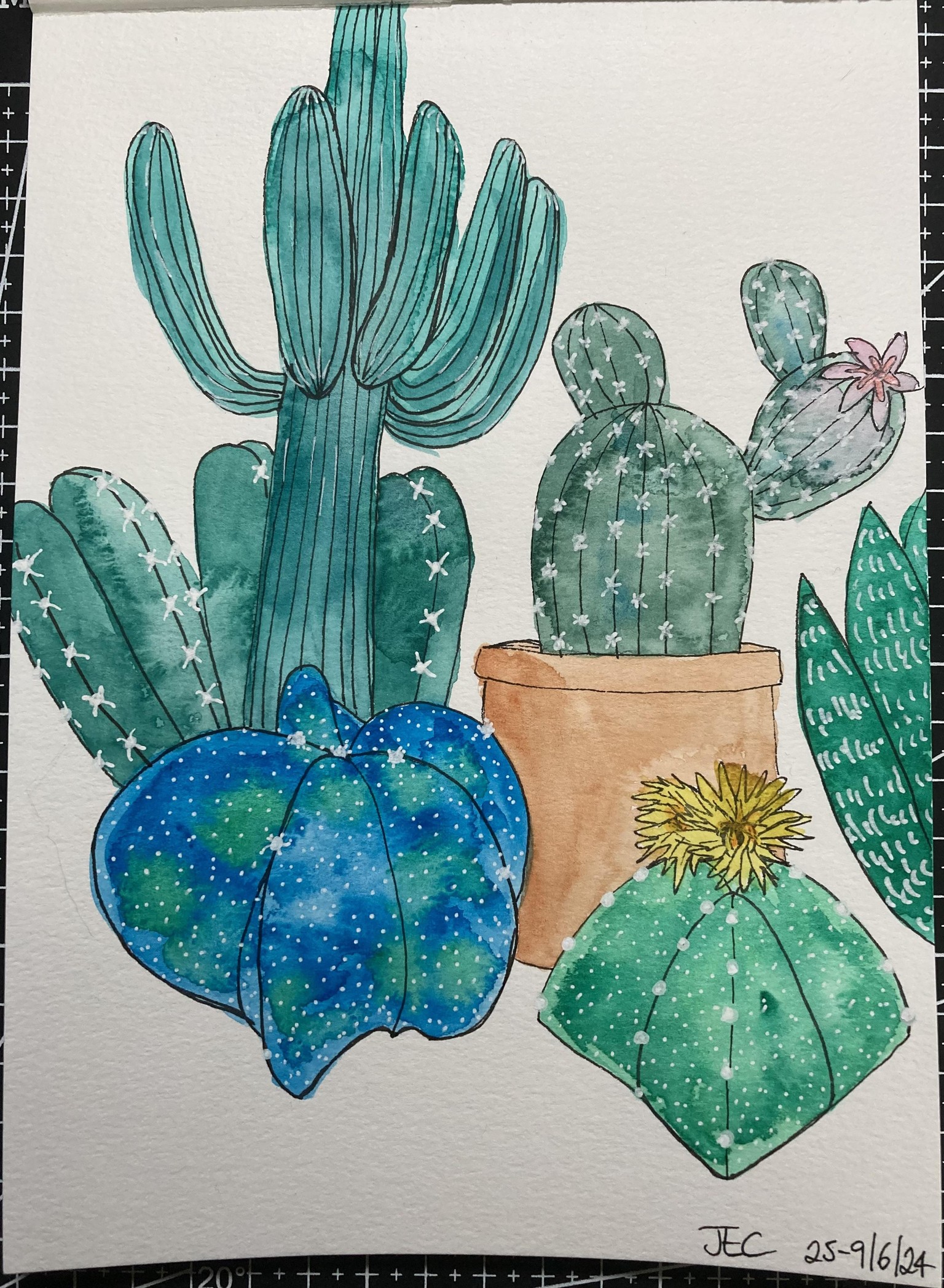 Cacti - image 1 - student project